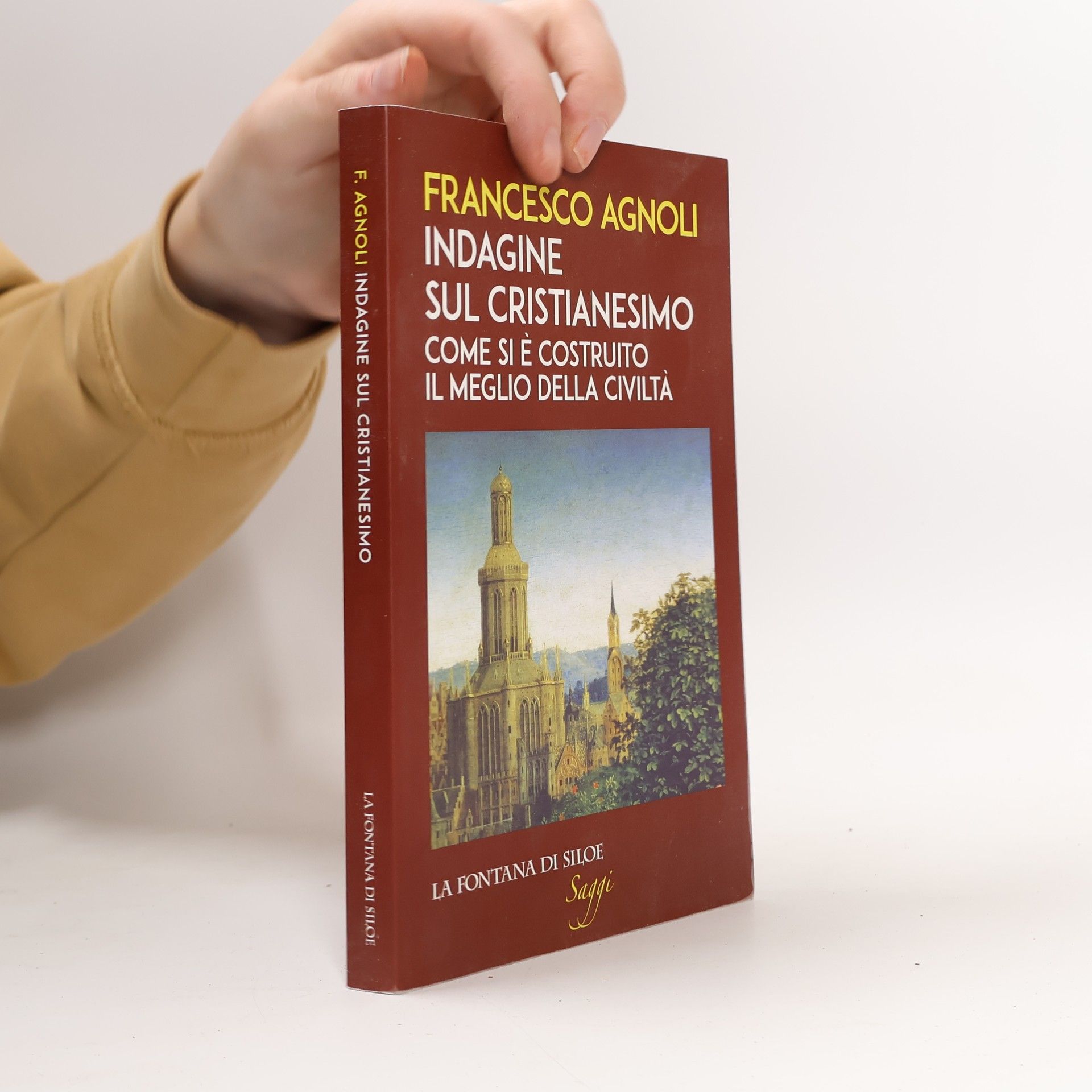 Francesco Agnoli Indagine sul cristianesimo. Come si è costruito il meglio della civiltà