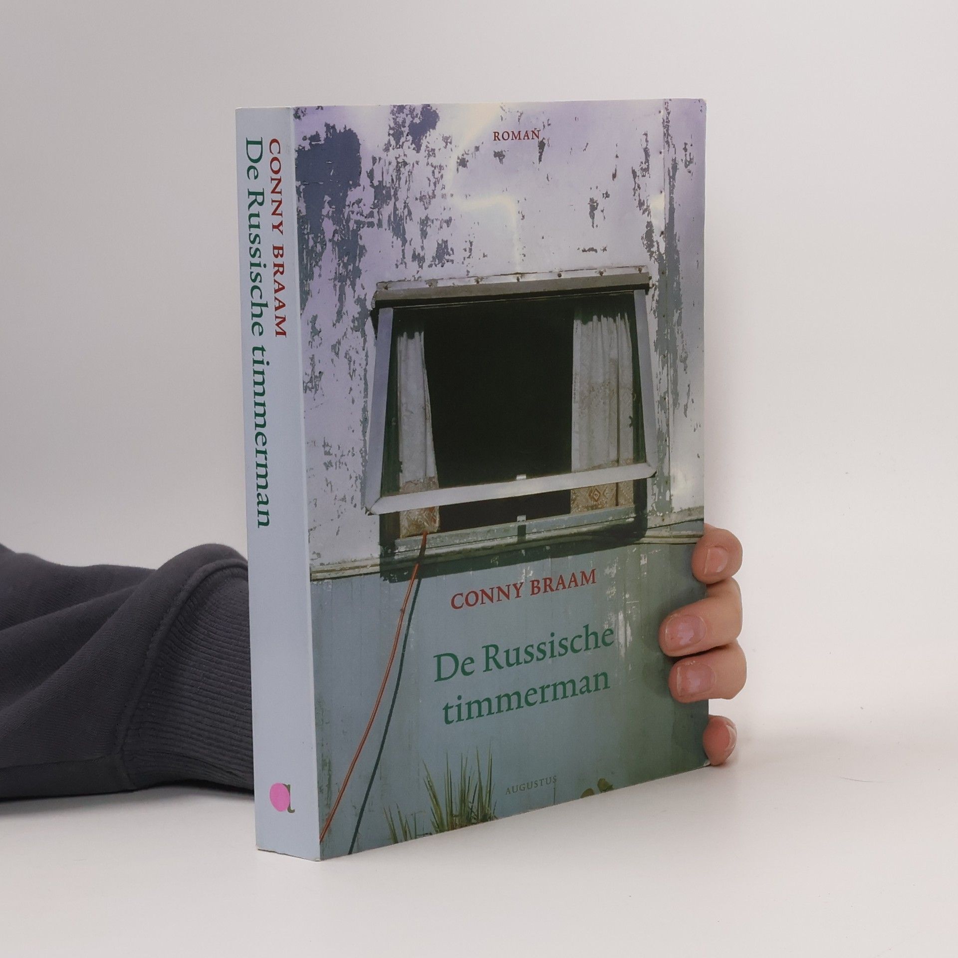 Cornelia Hendrika Helena Braam De Russische timmerman