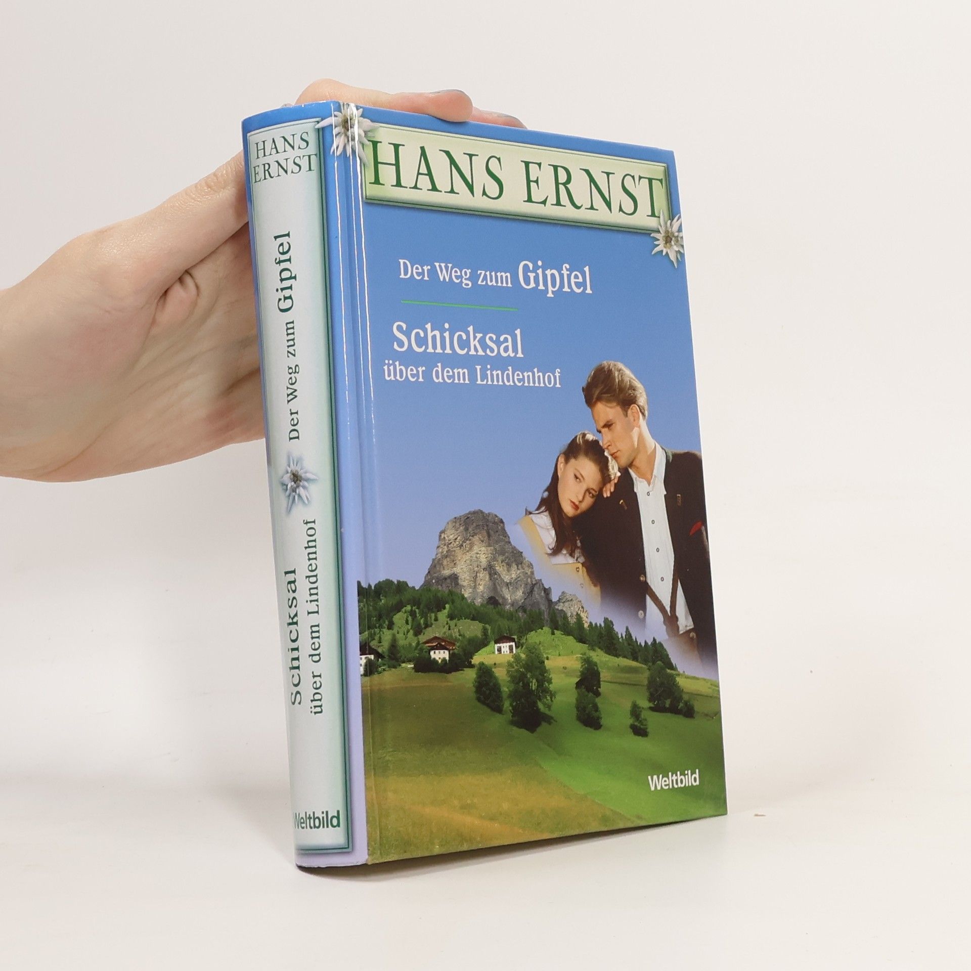 Hans Ernst Der Weg zum Gipfel. Schicksal über dem Lindenhof