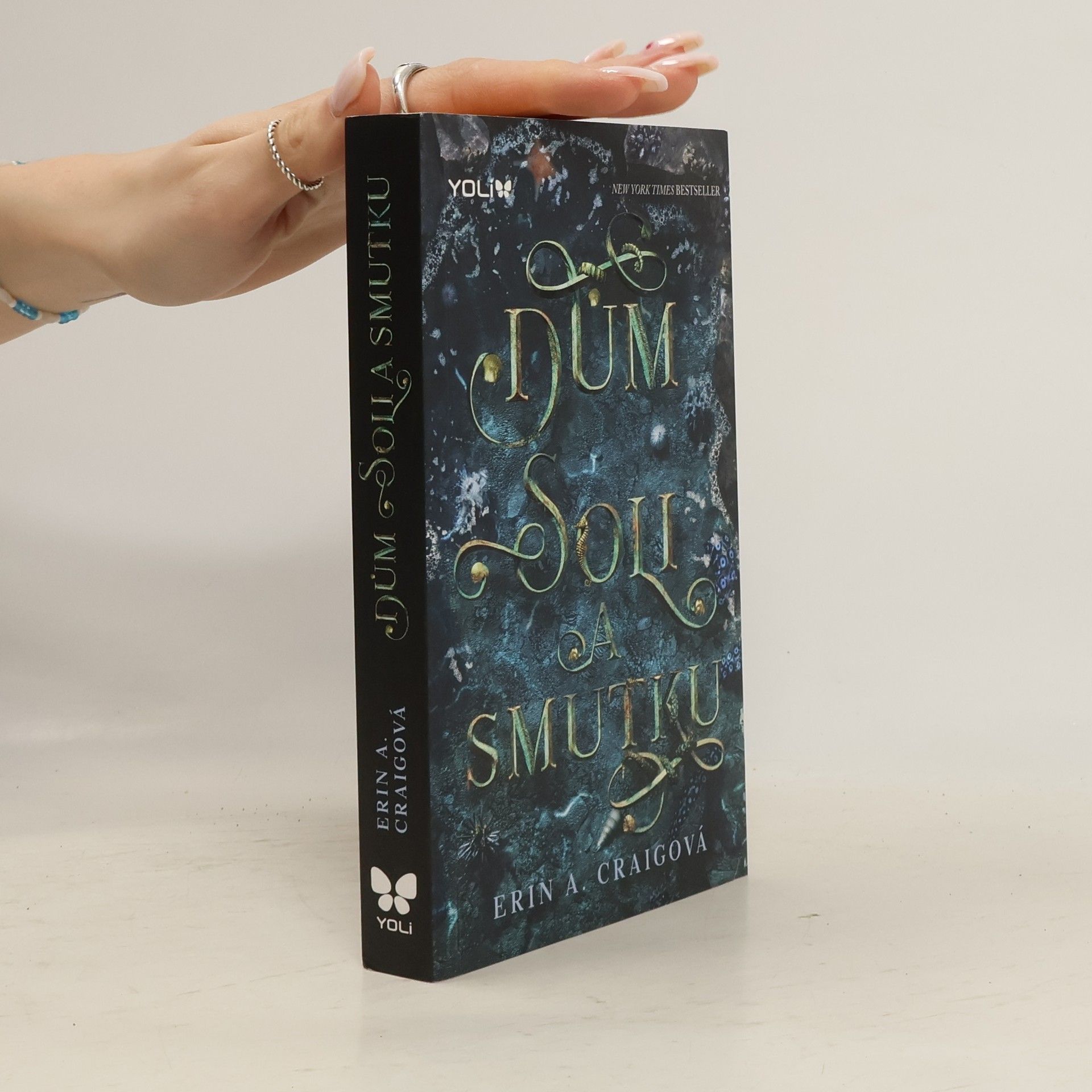 Erin A. Craig Dům soli a smutku