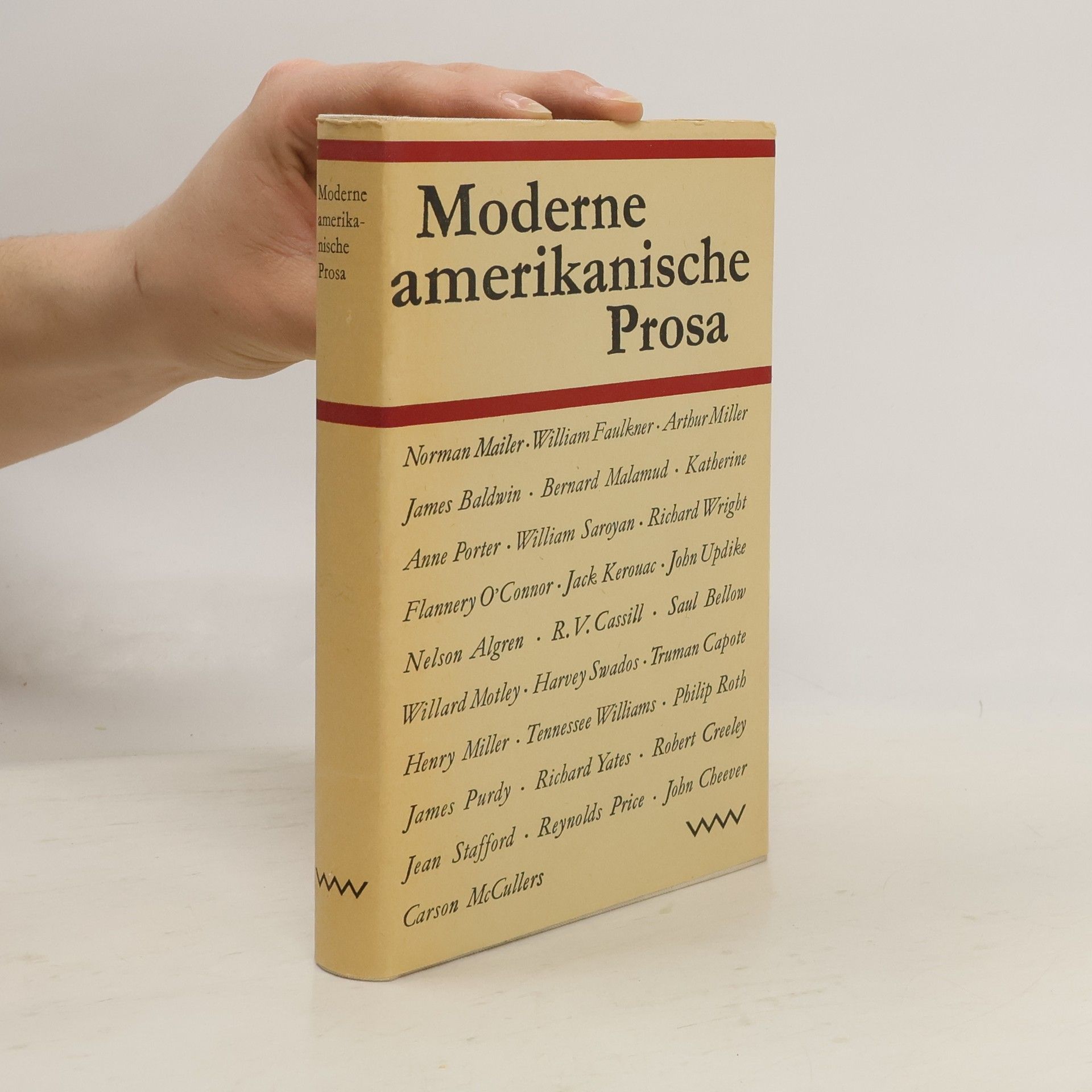 Moderne amerikanische Prosa