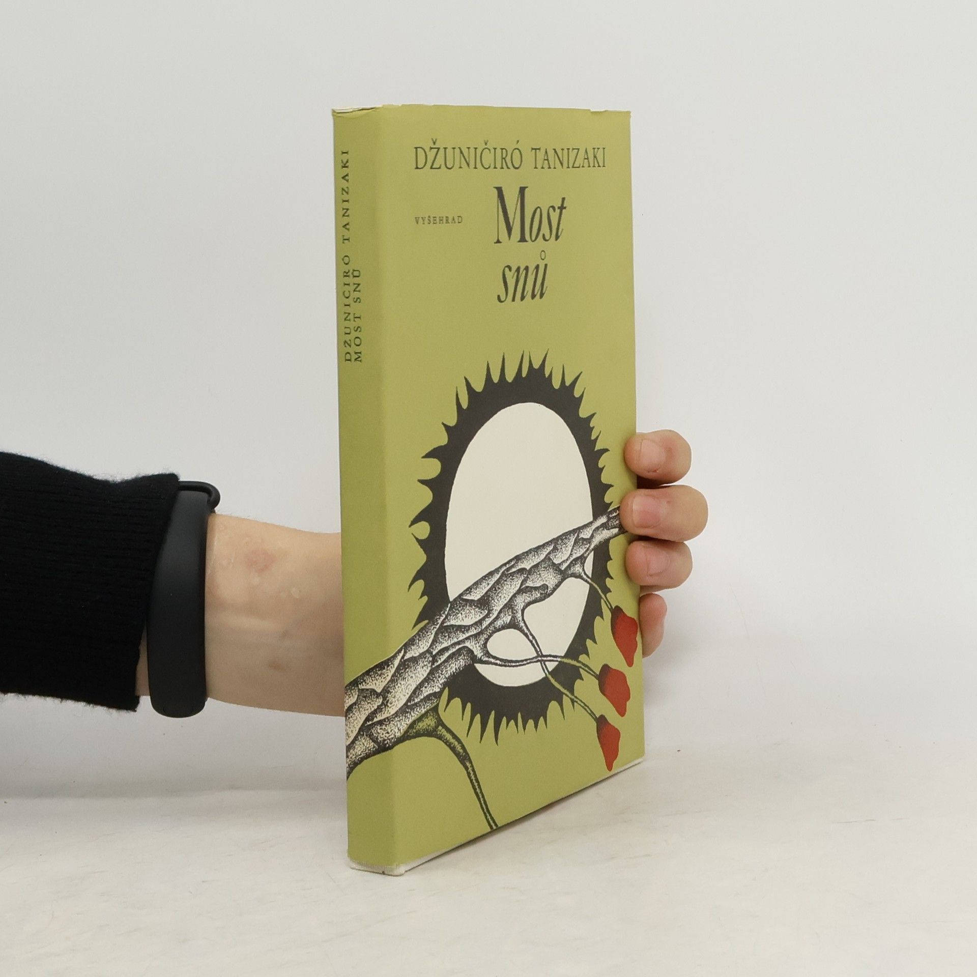 Jun'ichirō Tanizaki Most snů