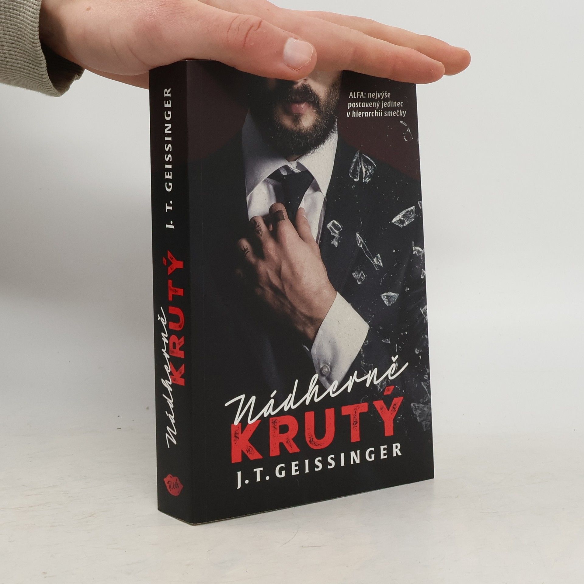 J. T. Geissinger Nádherně krutý