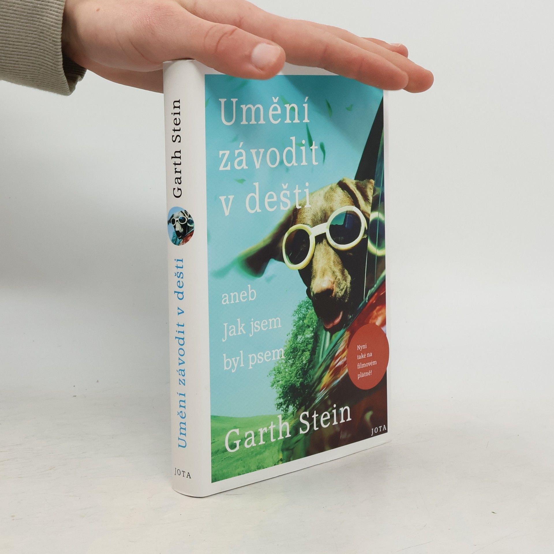 Garth Stein Umění závodit v dešti