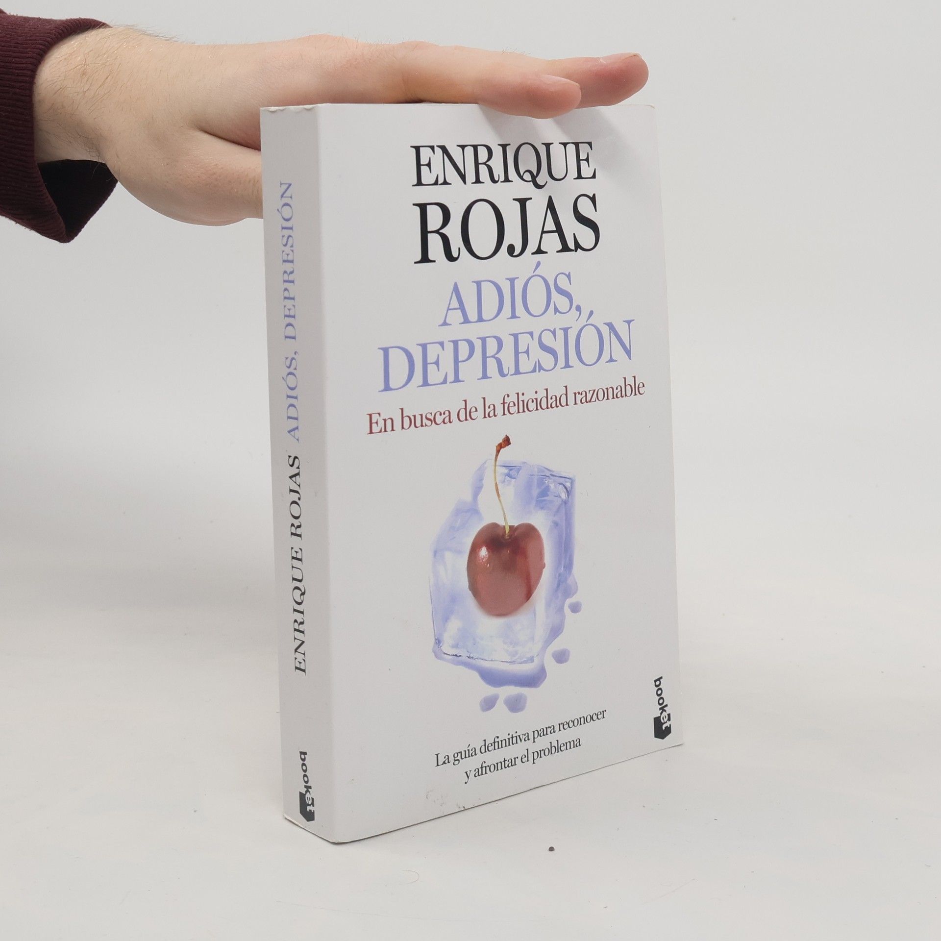 Enrique Rojas Adiós, depresión