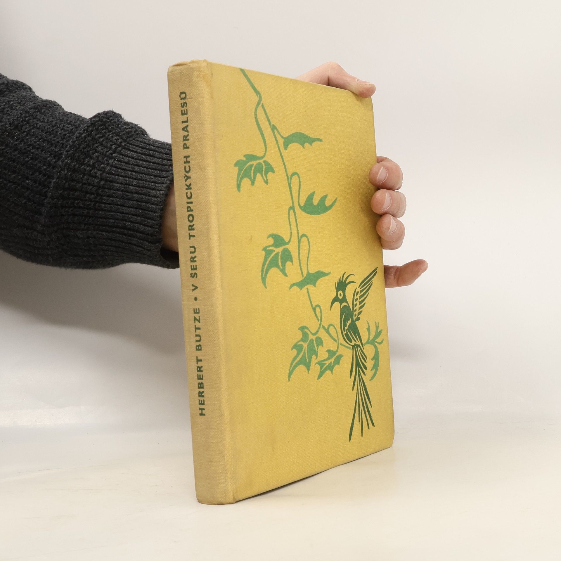 Herbert Butze V šeru tropických prales