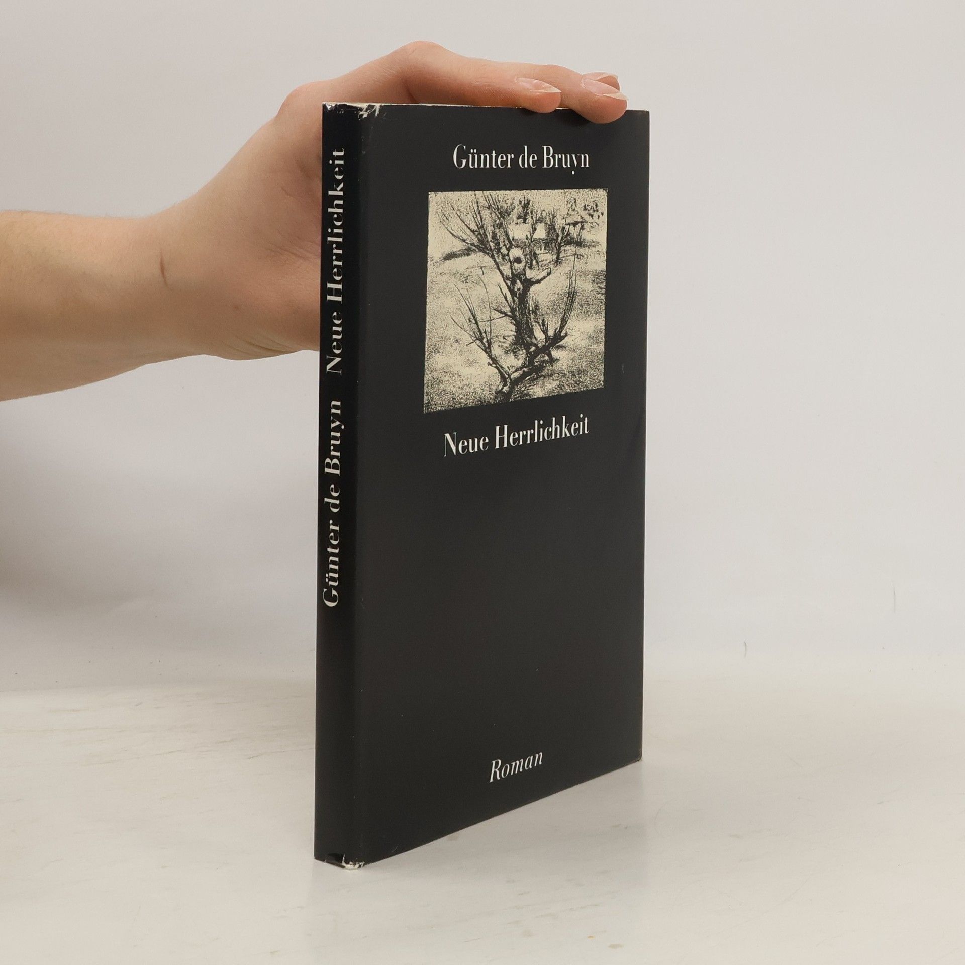 Günter de Bruyn Neue Herrlichkeit