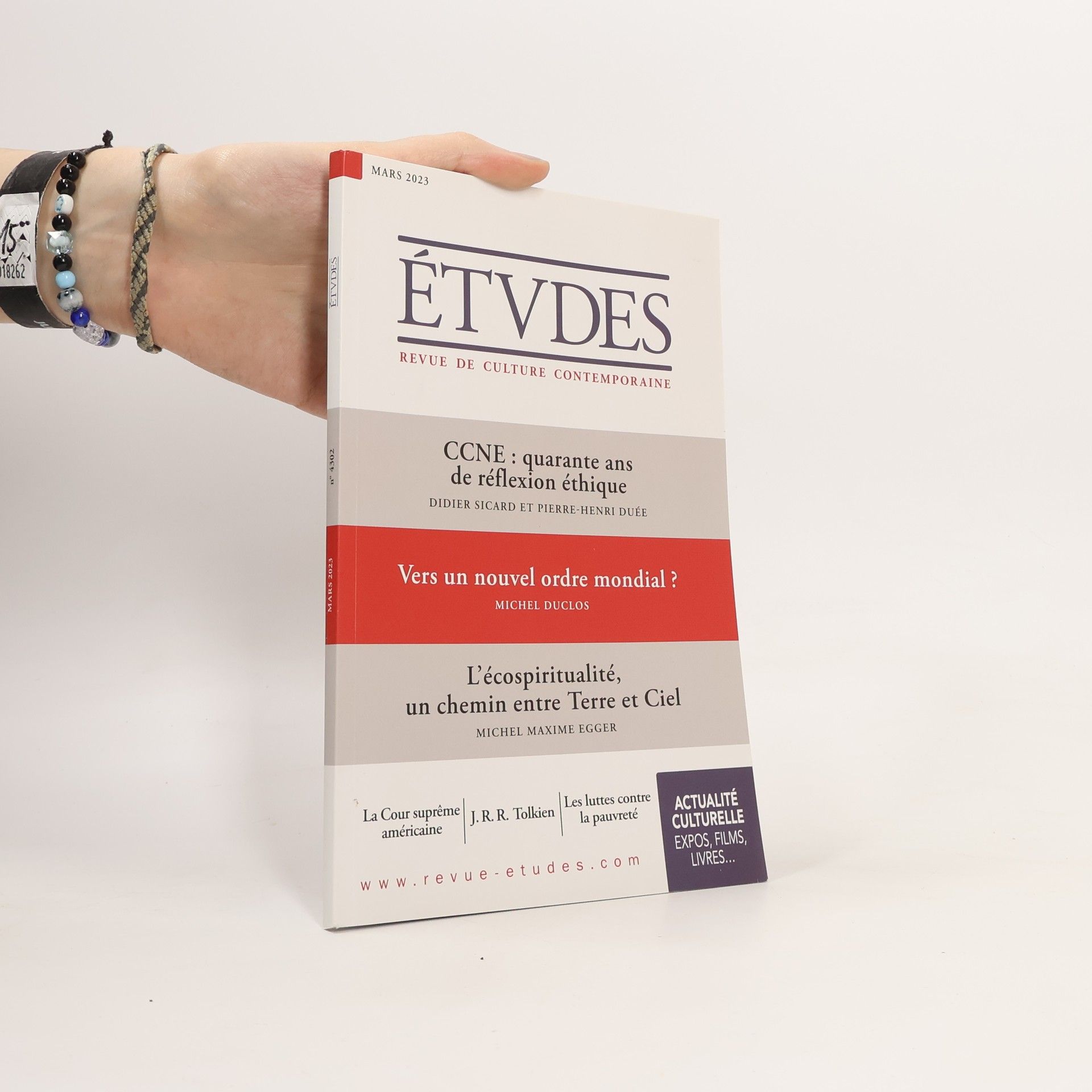 Didier Sicard Études