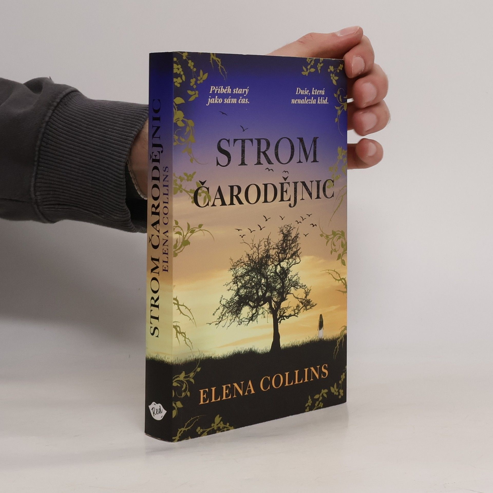 Jana Buchalová Strom čarodějnic