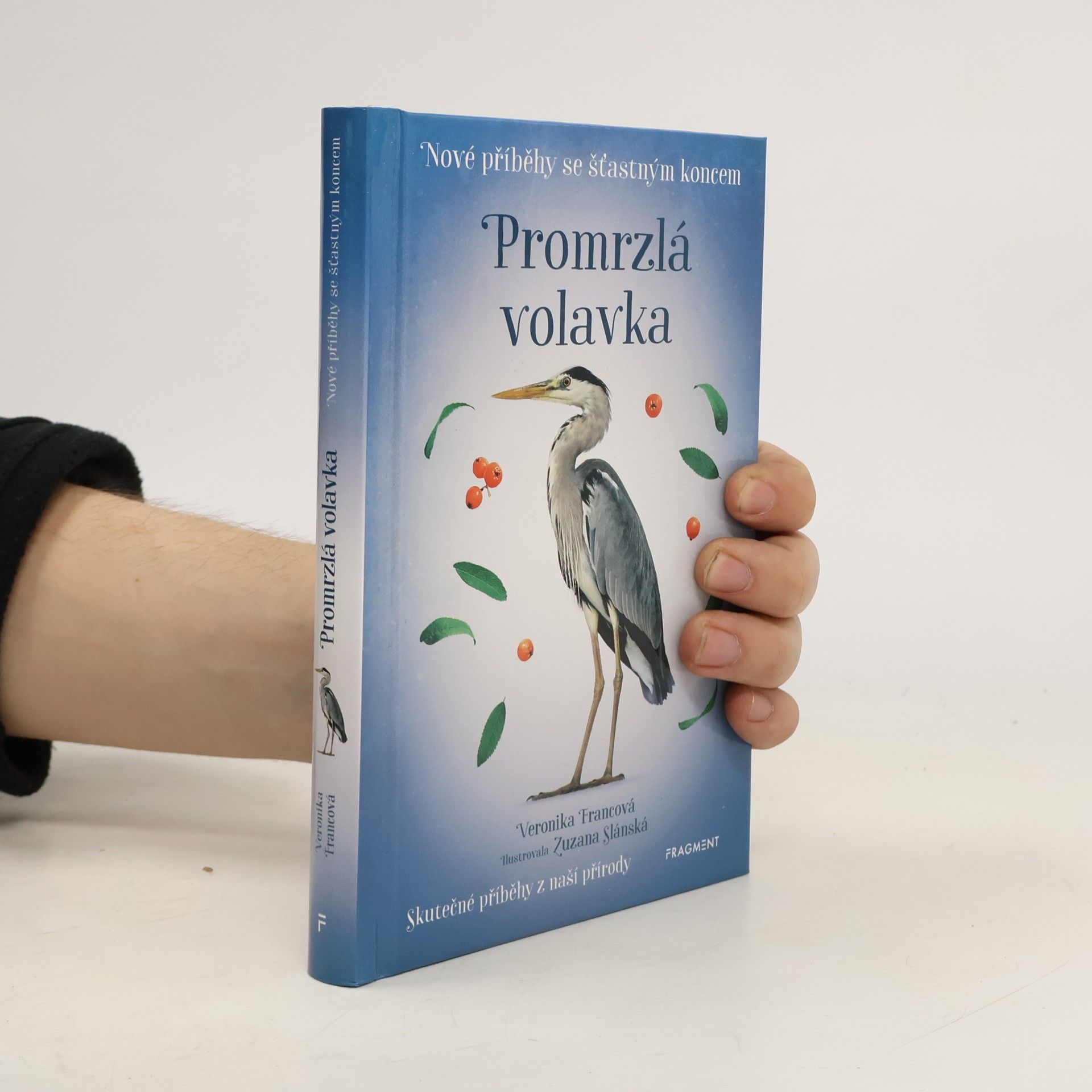 Veronika Francová Promrzlá volavka