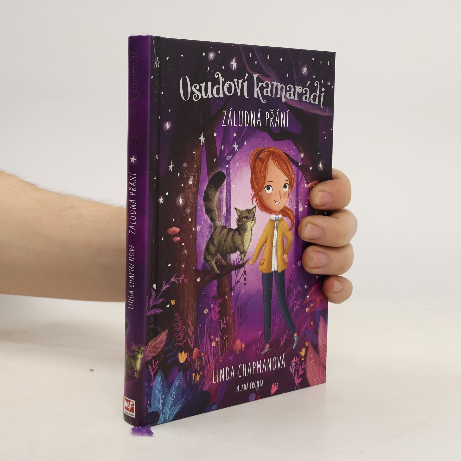 Linda Chapman Záludná přání