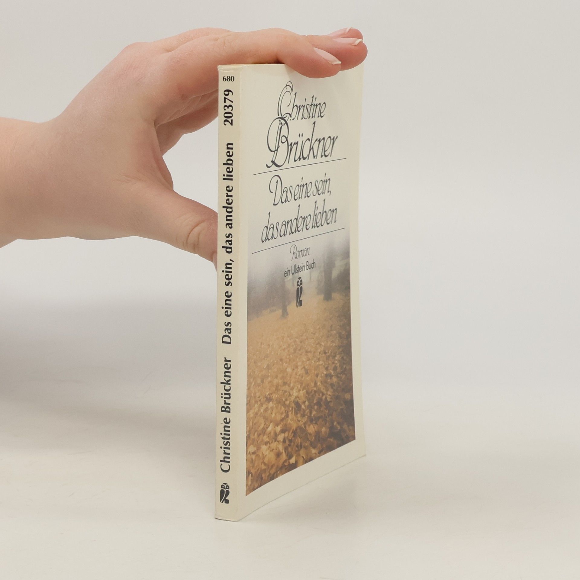 Christine Brückner Das eine sein, das andere lieben