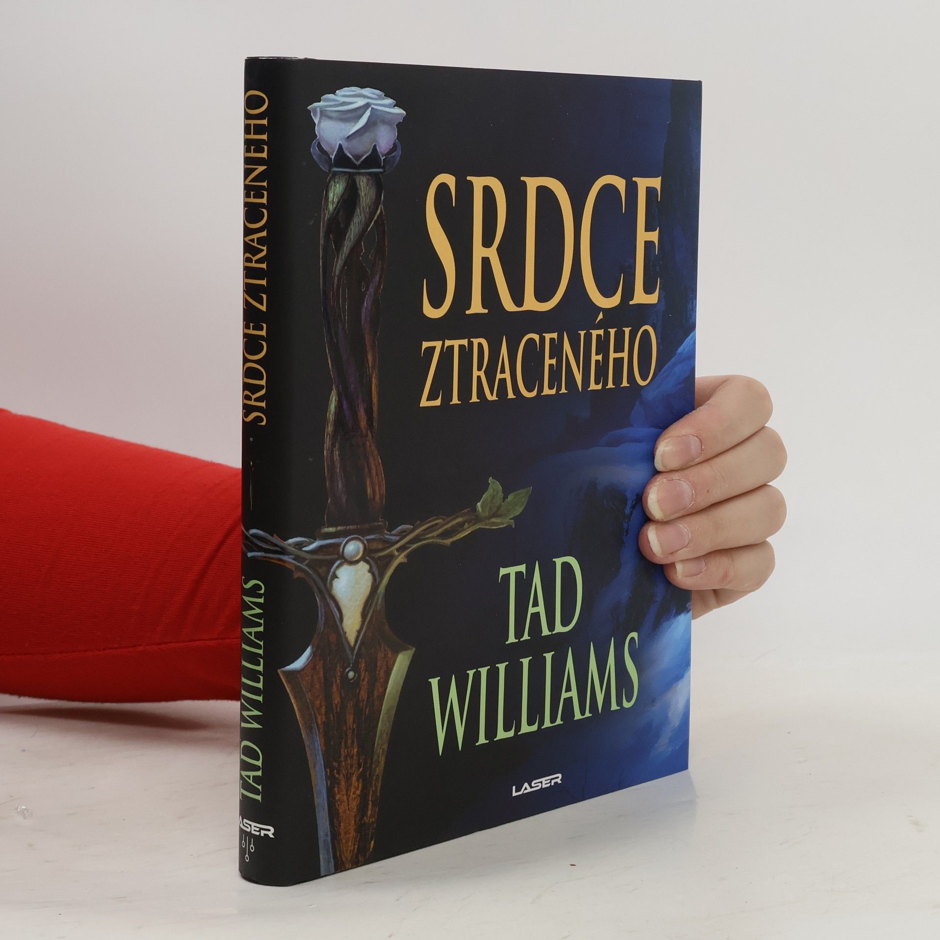 Tad Williams Srdce ztraceného