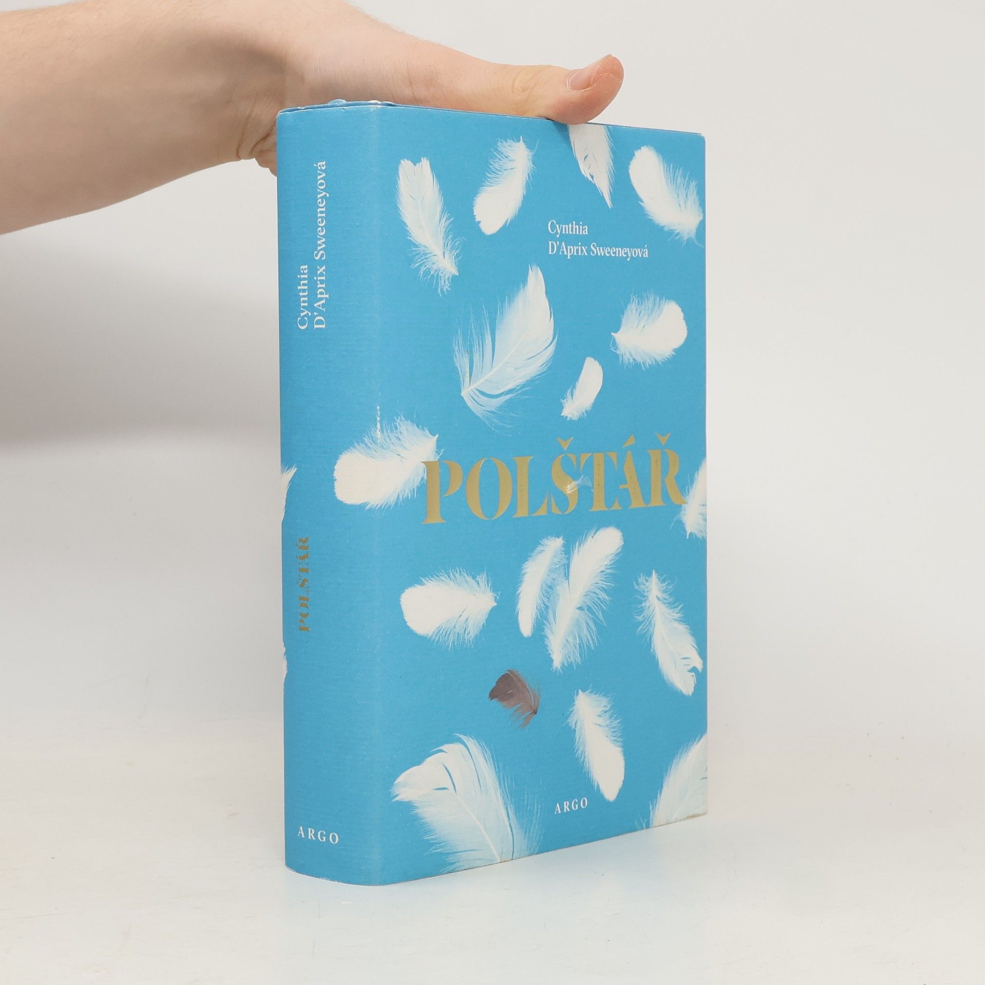 Cynthia D. Aprix Sweeney Polštář