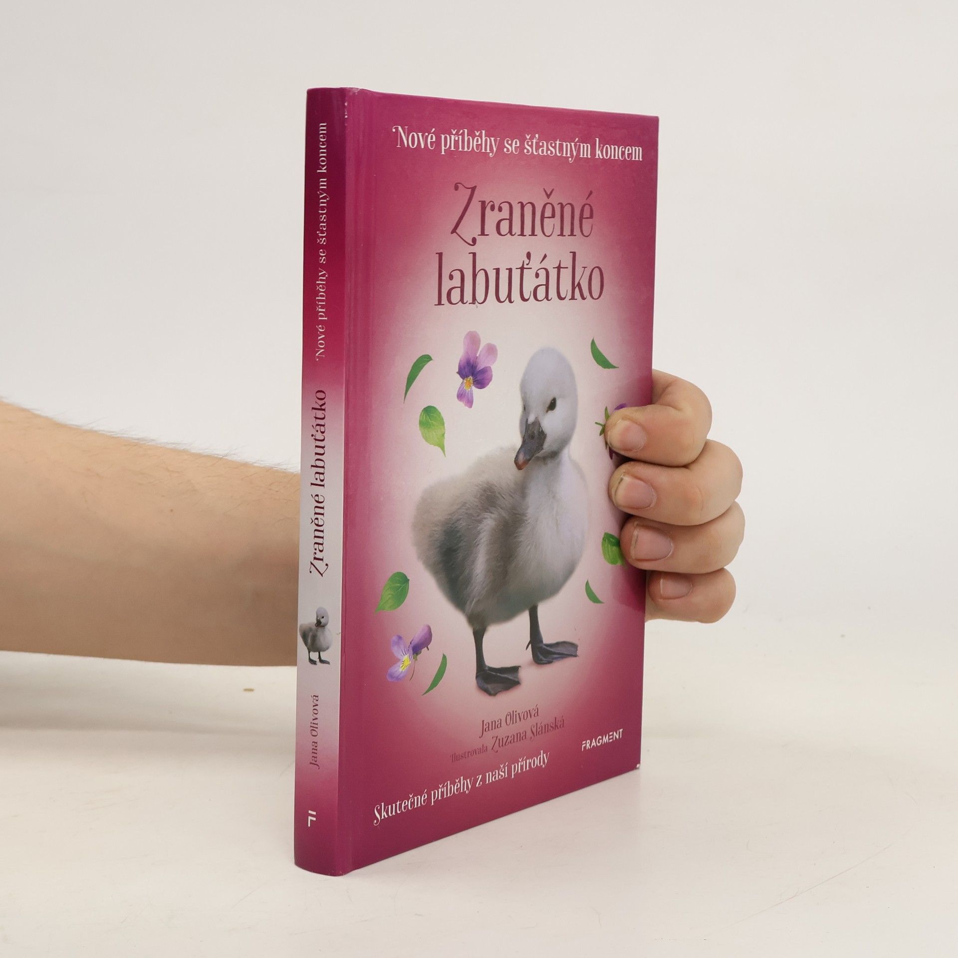 Zuzana Slánská Zraněné labuťátko