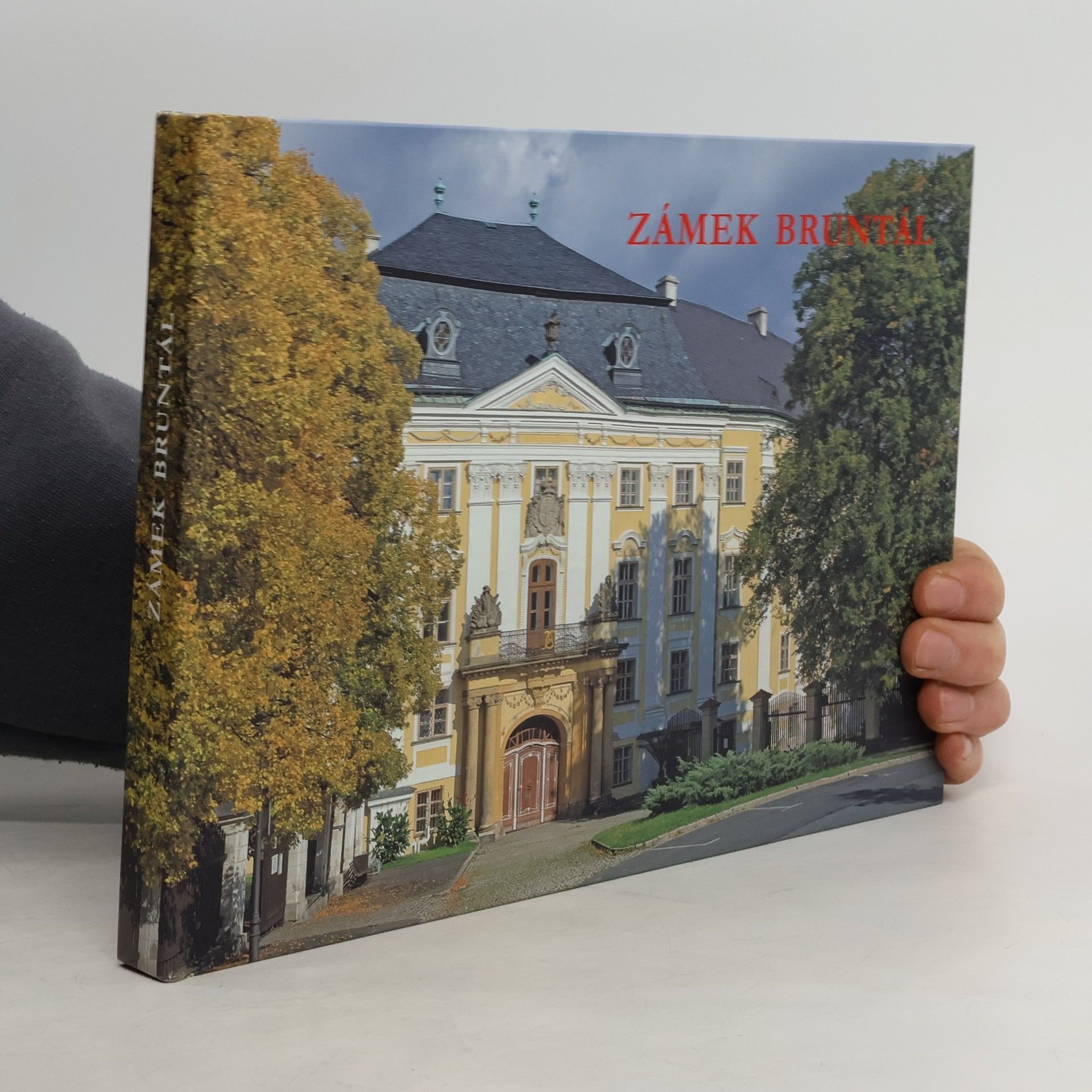 Ľubica Mezerová Zámek Bruntál