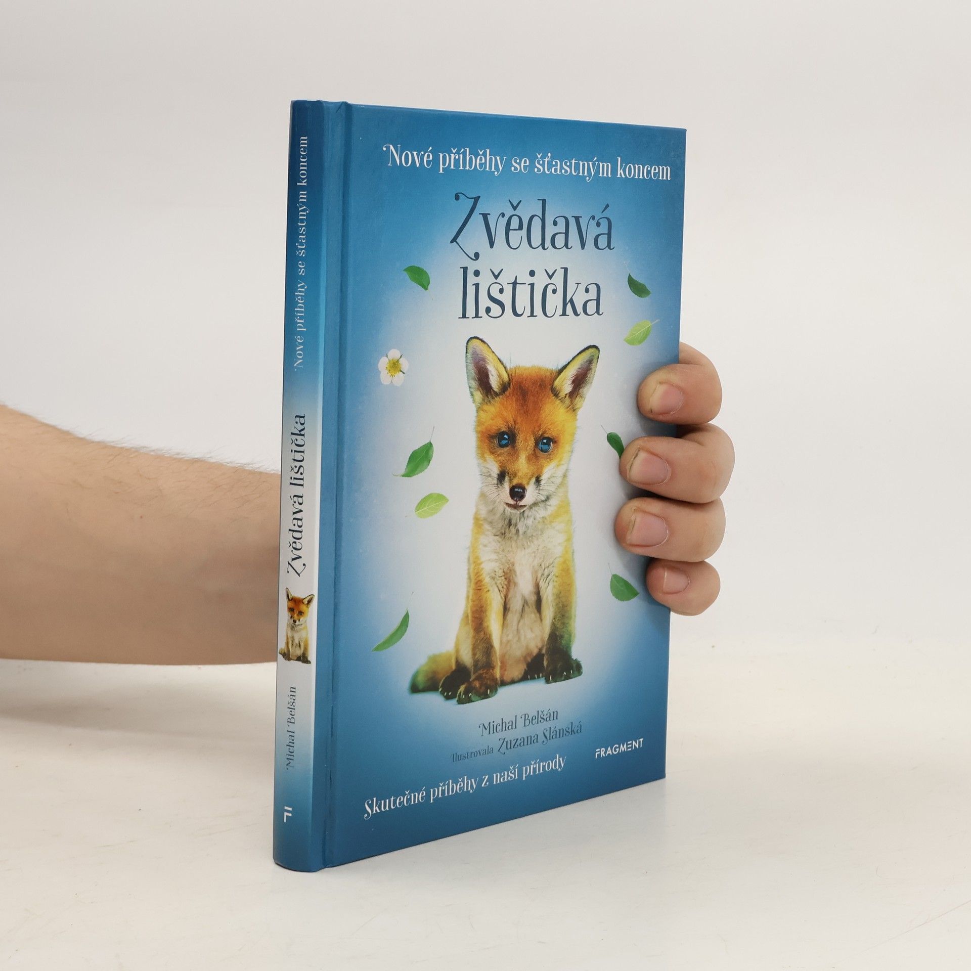 Michal Belšán Zvědavá lištička