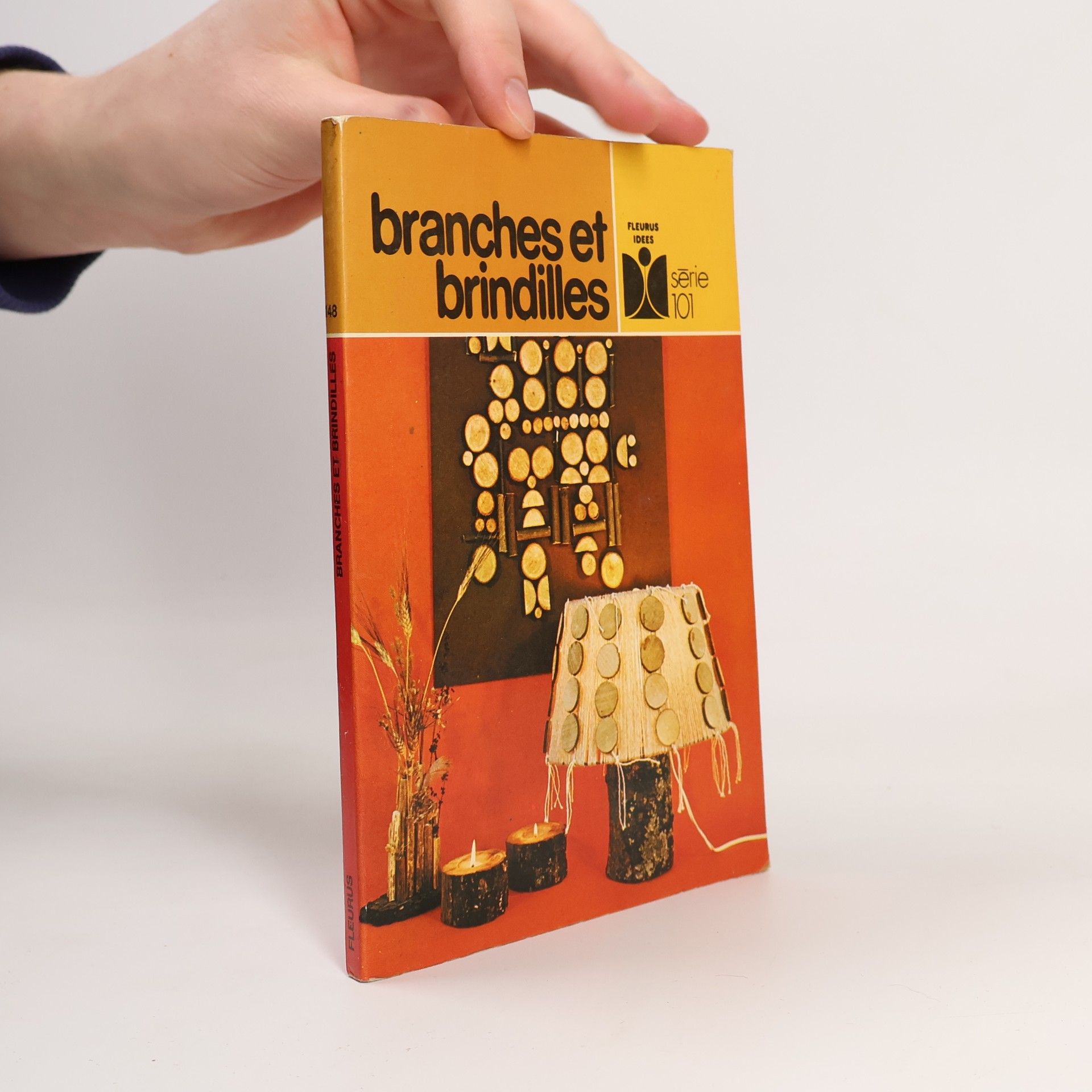 Jean-Michel Dufour Branches et brindilles