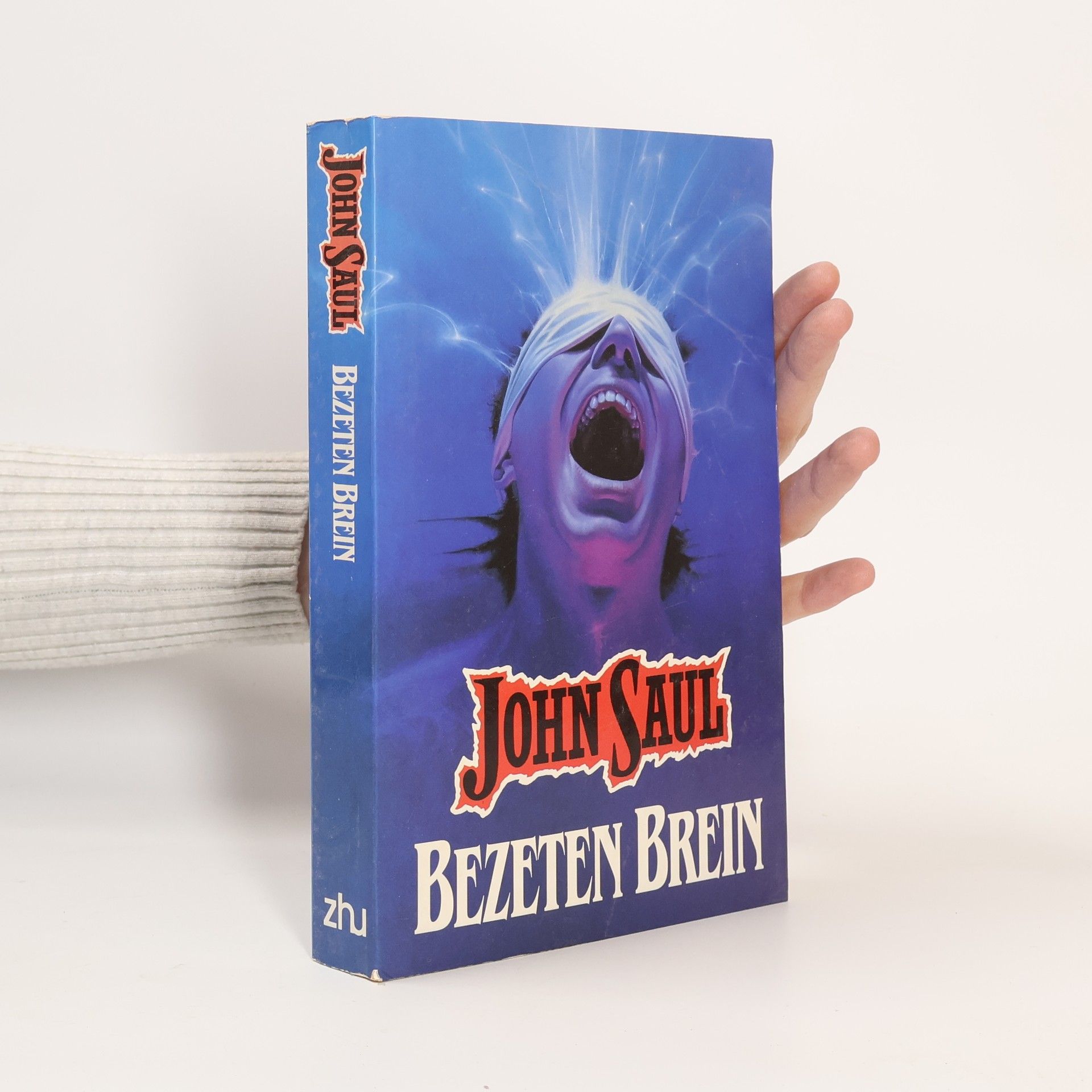 John Saul Bezeten brein