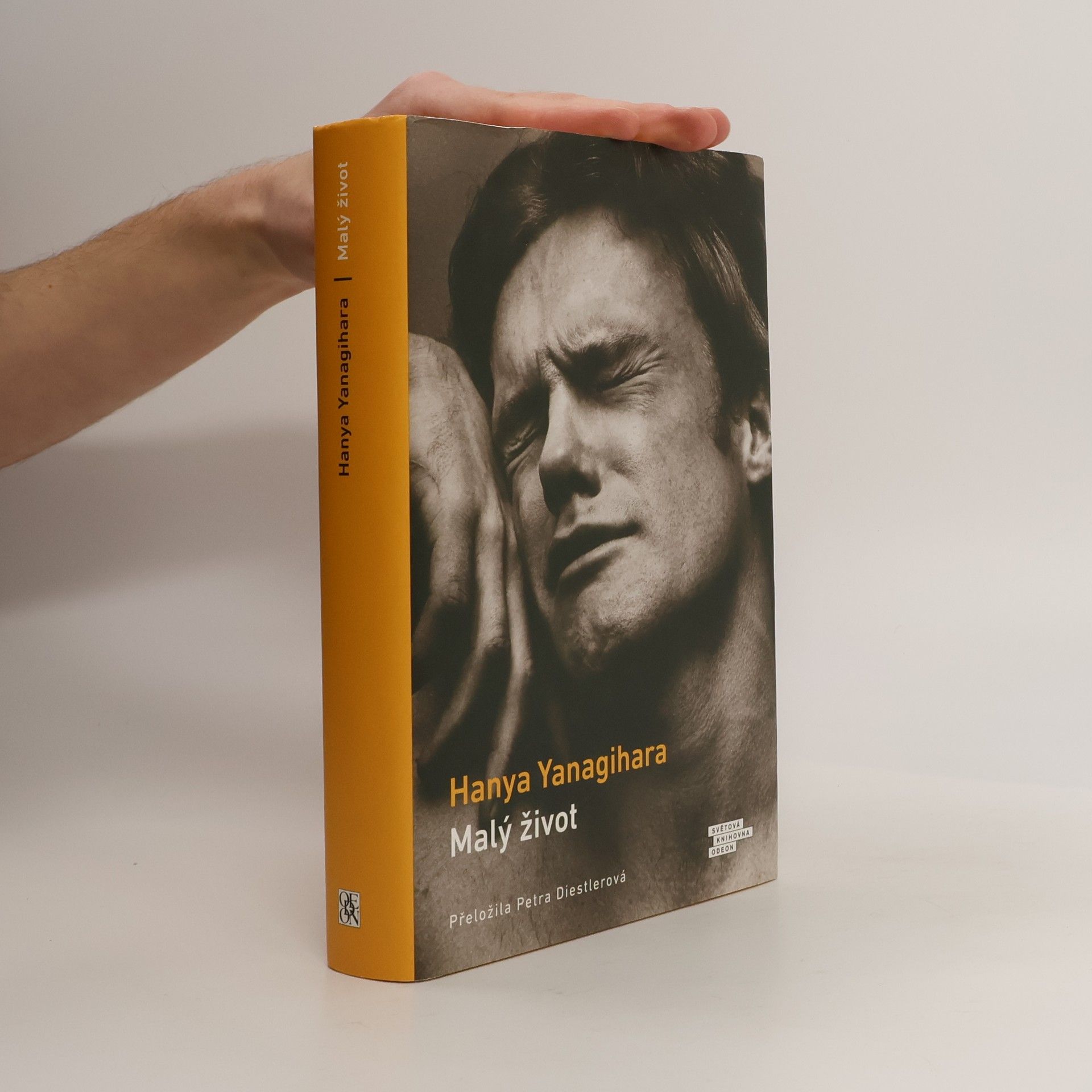 Hanya Yanagihara Malý život