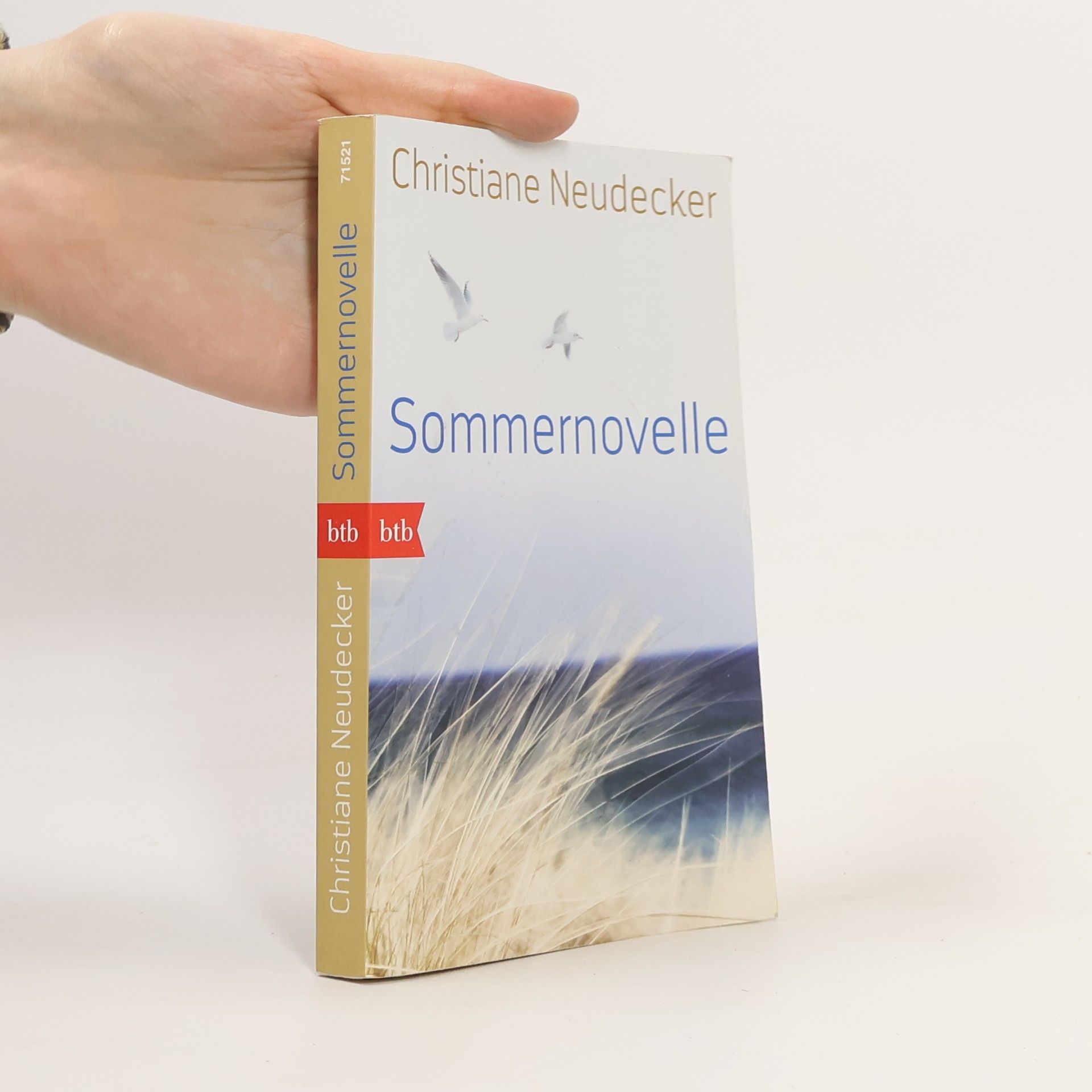 Christiane Neudecker Sommernovelle