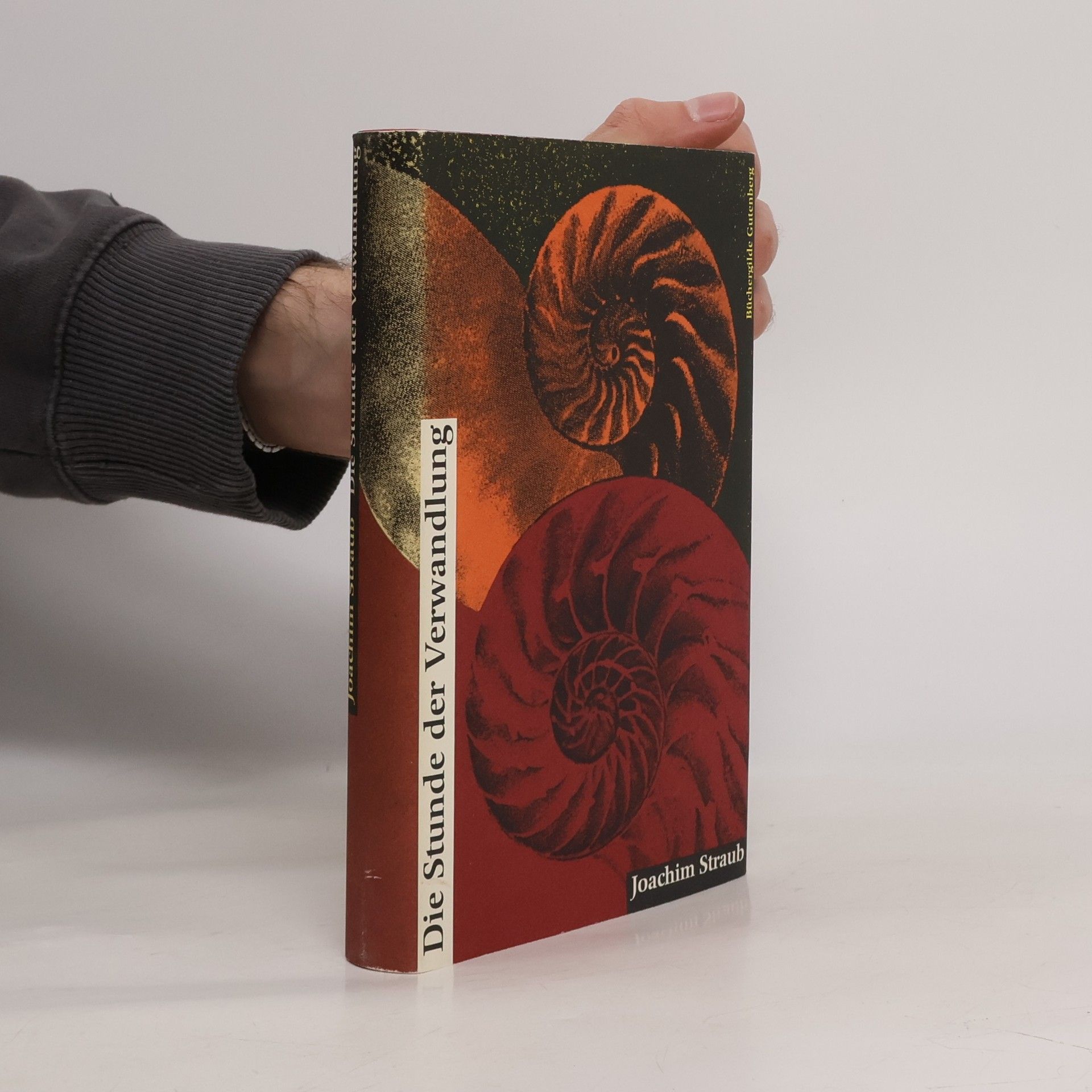 Joachim Straub Die Stunde der Verwandlung