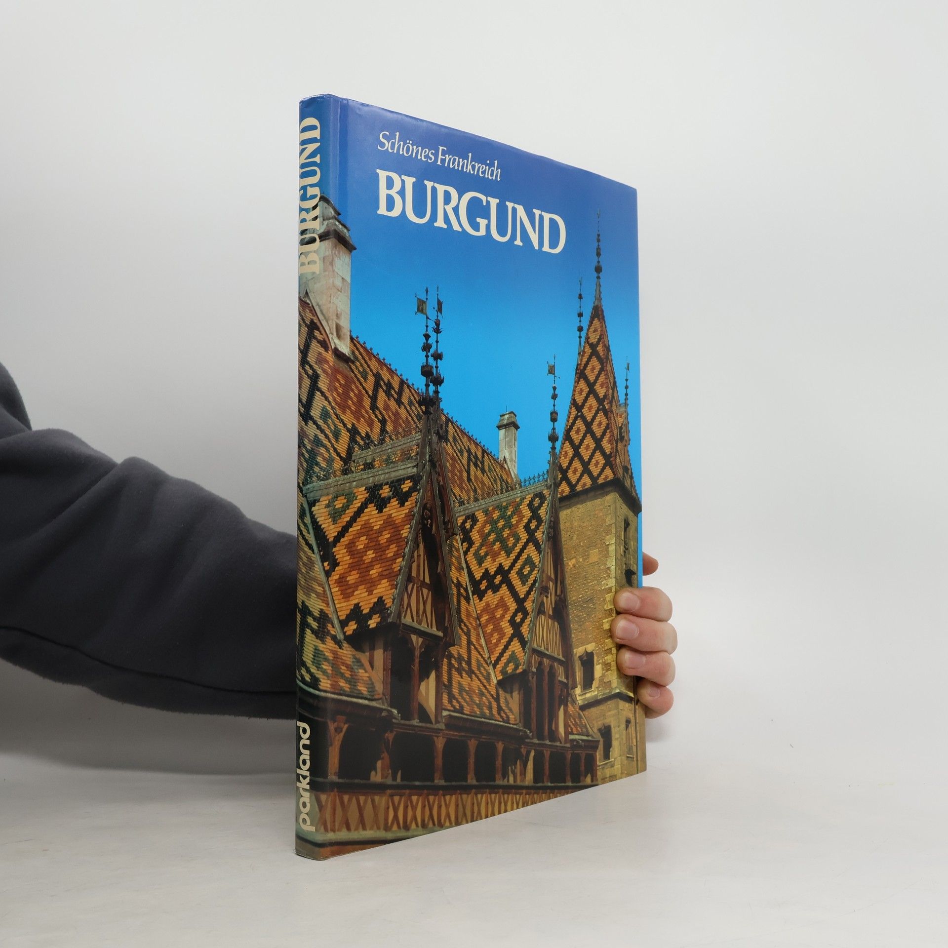 Pierre Alain Burgund