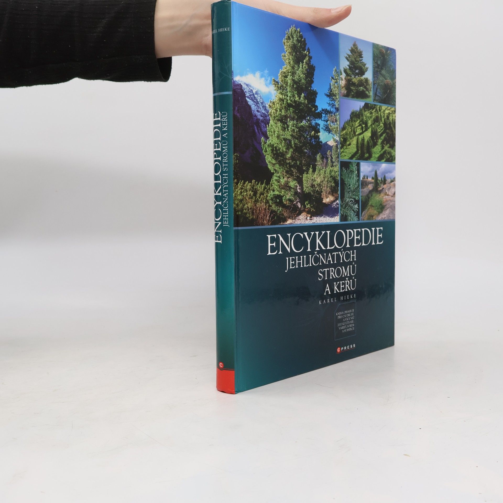 Karel Hieke Encyklopedie jehličnatých stromů a keřů