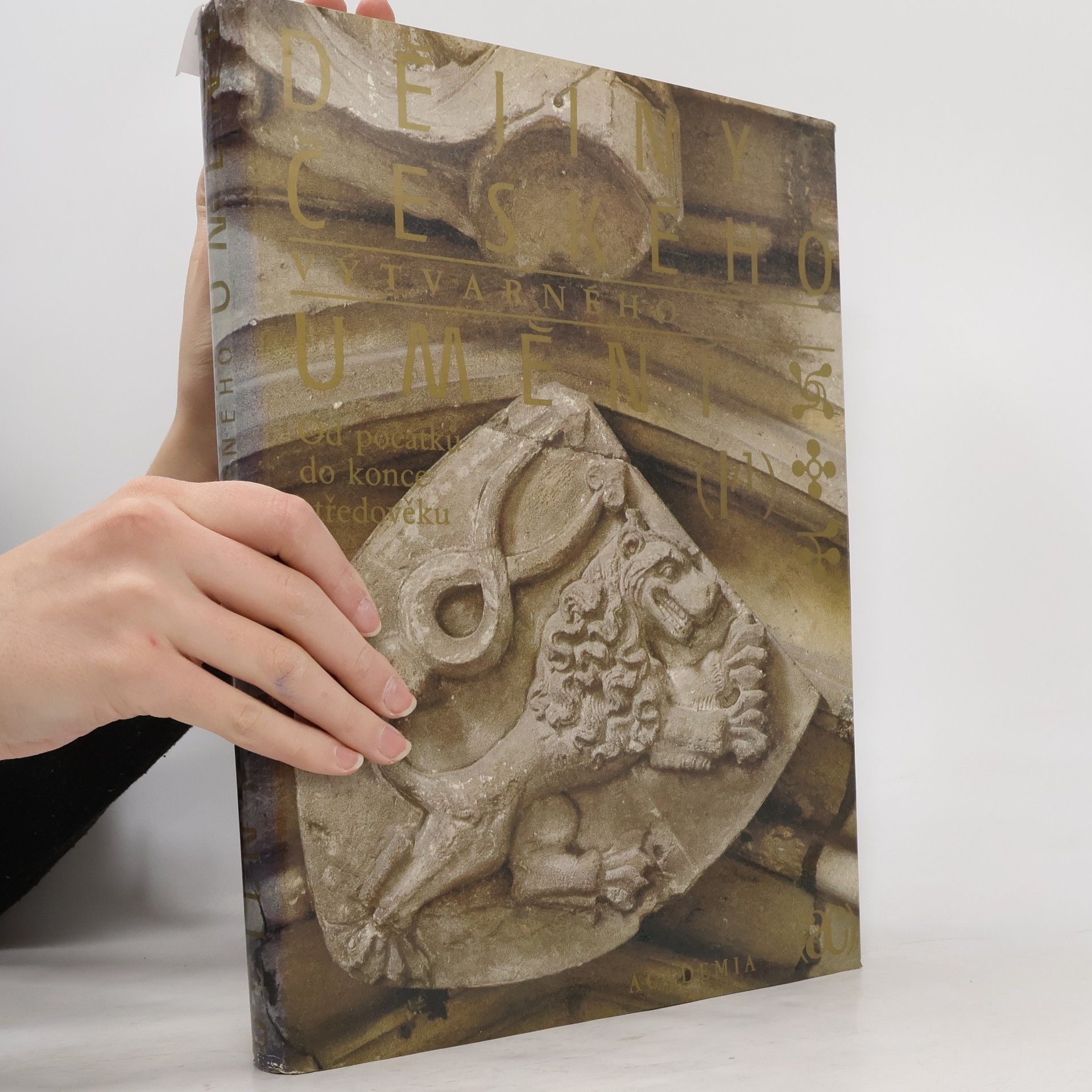 Autorenkollektiv Dějiny českého výtvarného umění I/1