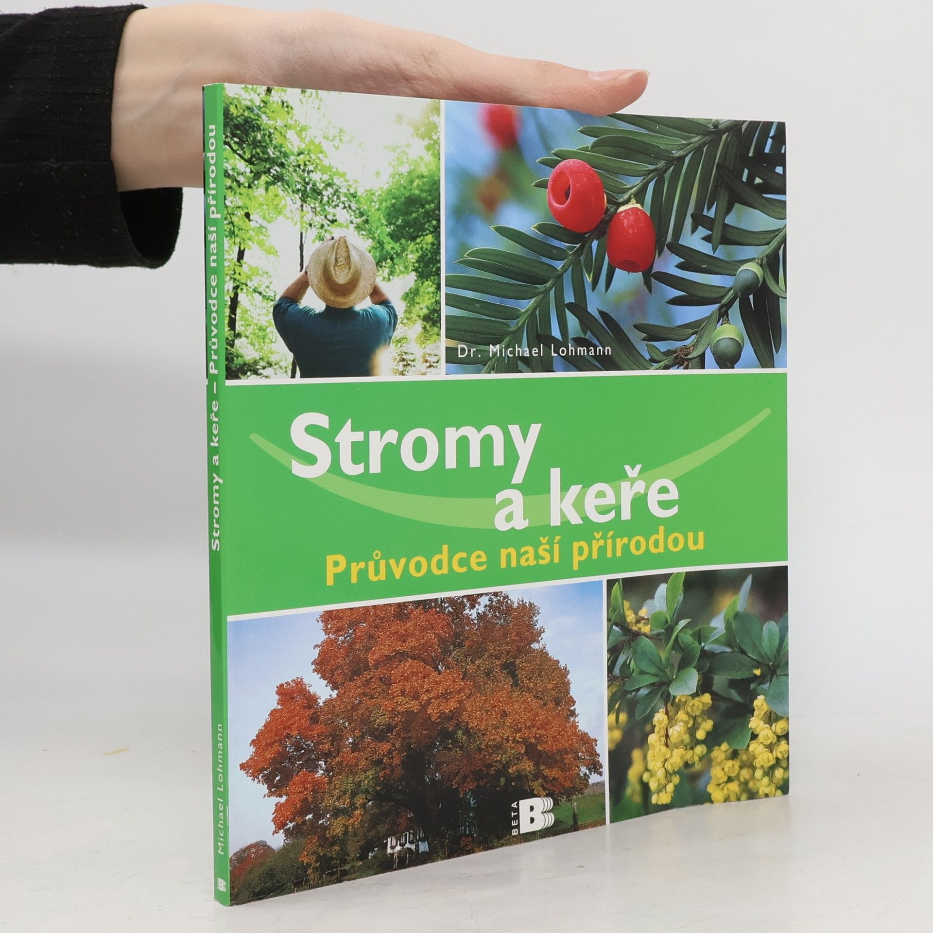 Stromy a keře
