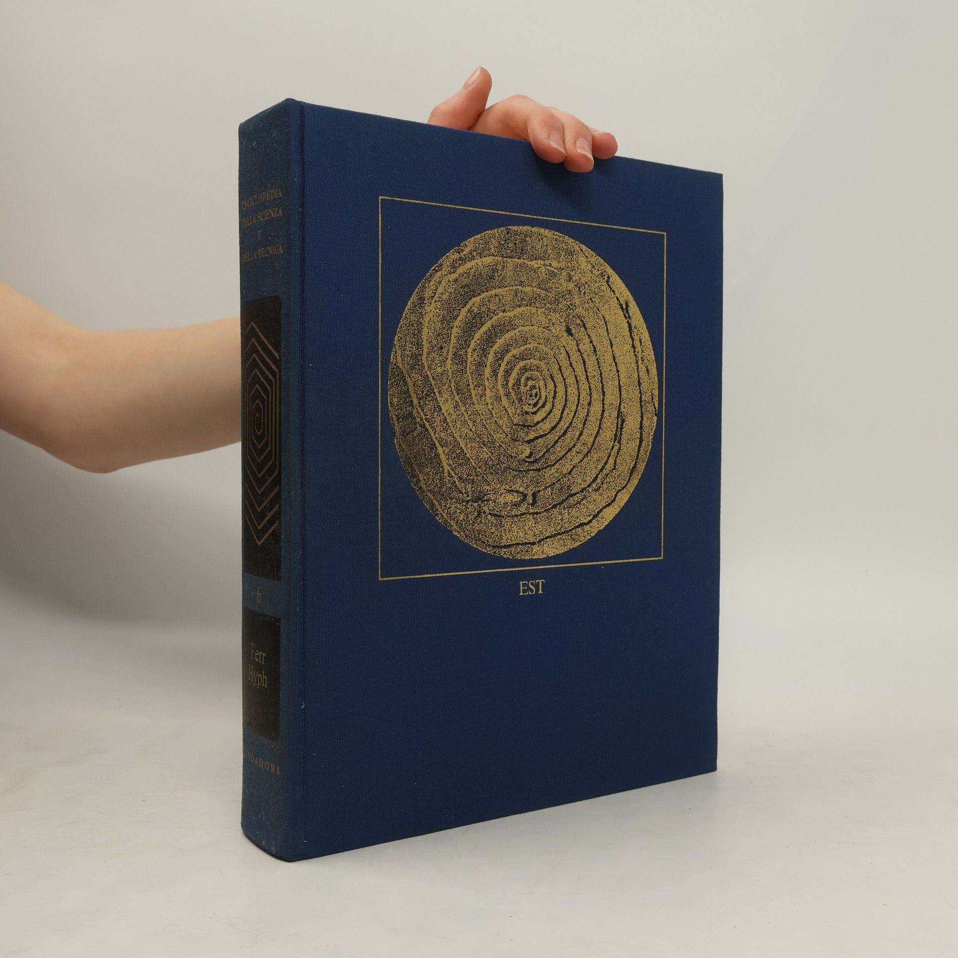 Autorenkollektiv Enciclopedia della Scienza e della Tecnica VI. Ferr-Hyph