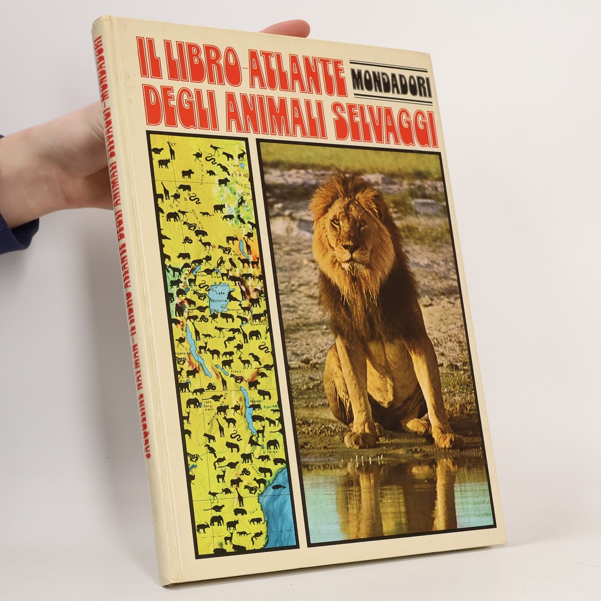 Autorenkollektiv Il Libro - Atlante degli animali Selvaggi
