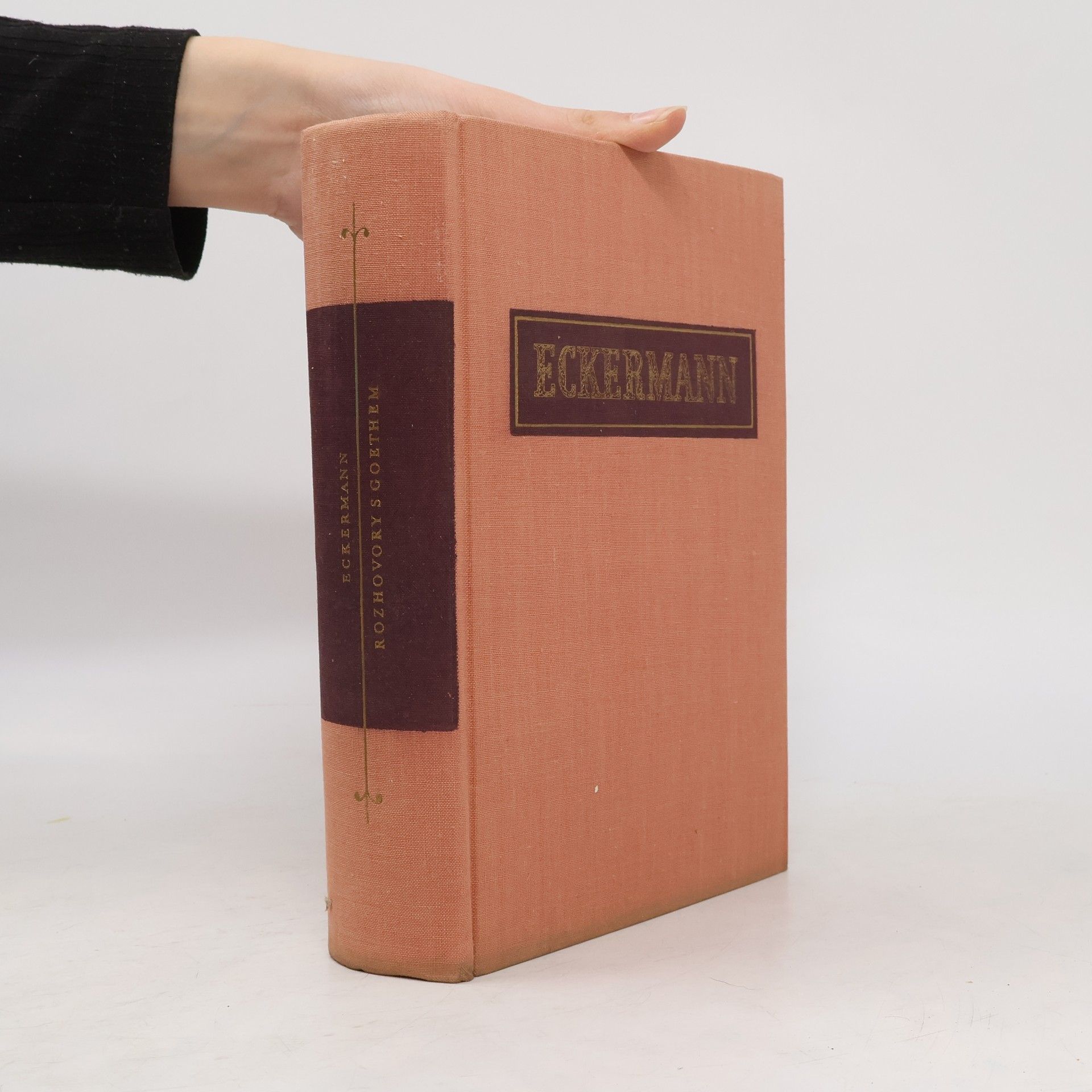 Johann Peter Eckermann Rozhovory s Goethem