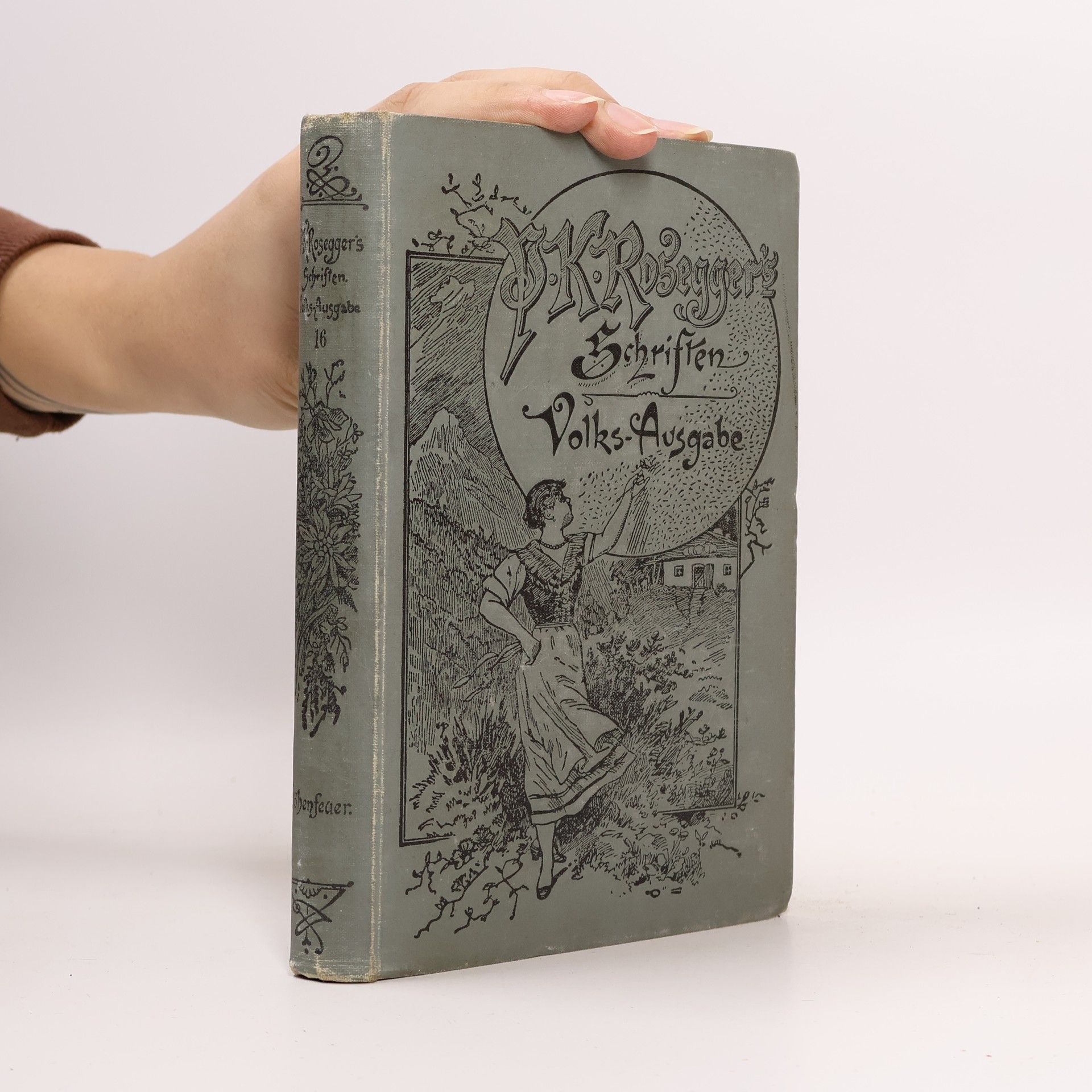 Peter Rosegger P. K. Rosegger's Schriften 16. Höhenfeuer