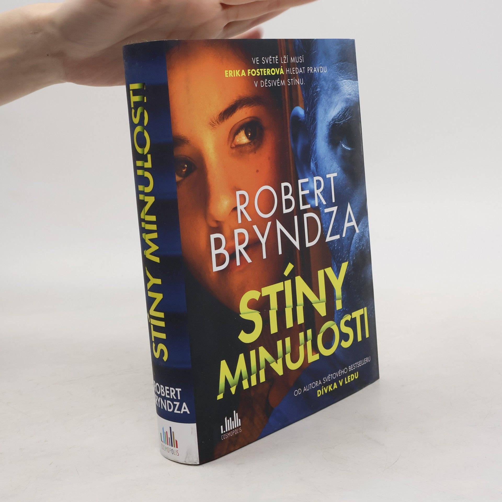 Robert Bryndza Stíny minulosti