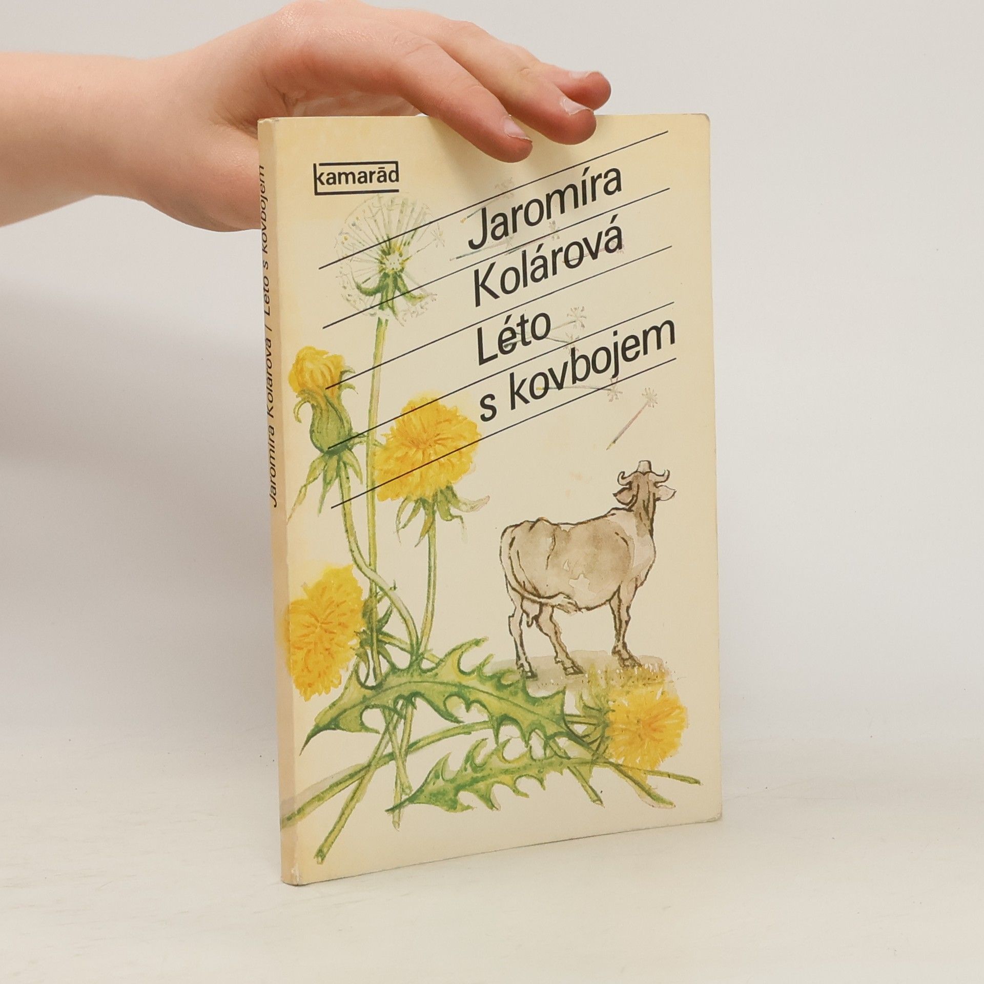 Jaromíra Kolárová Léto s kovbojem