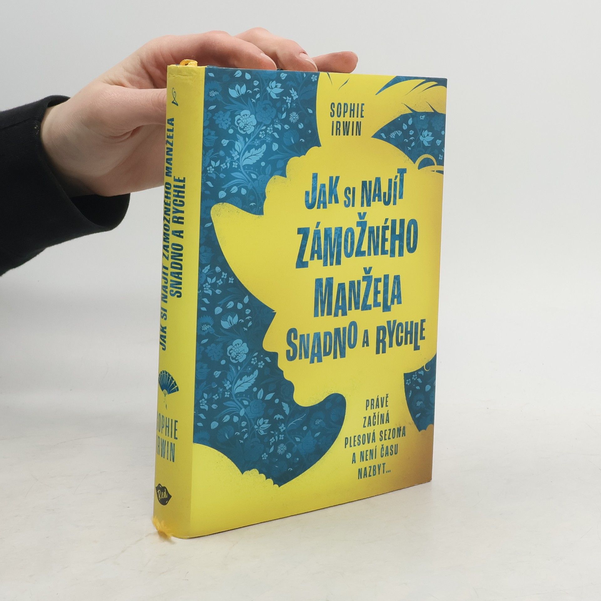 Sophie Irwin Jak si najít zámožného manžela snadno a rychle