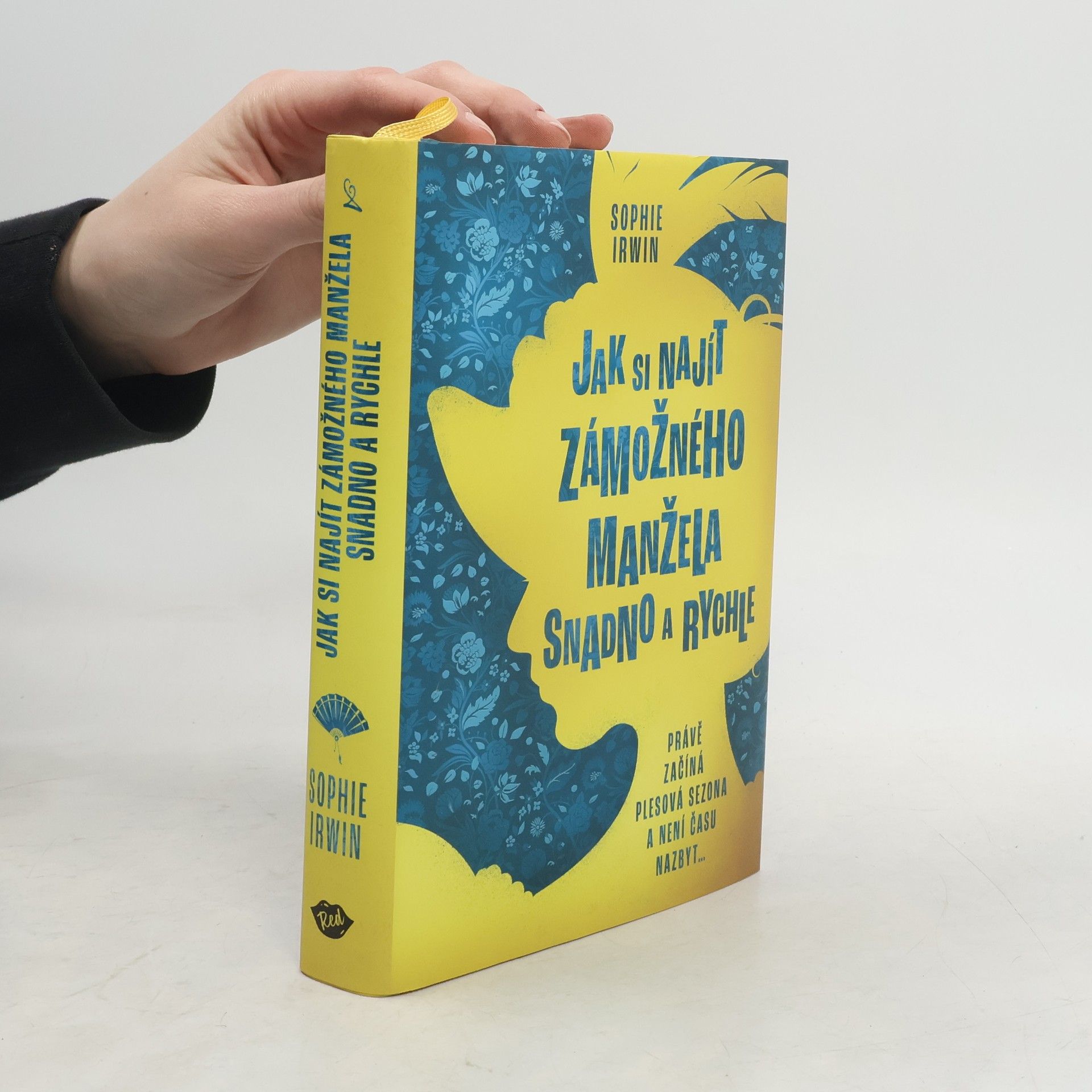 Sophie Irwin Jak si najít zámožného manžela snadno a rychle