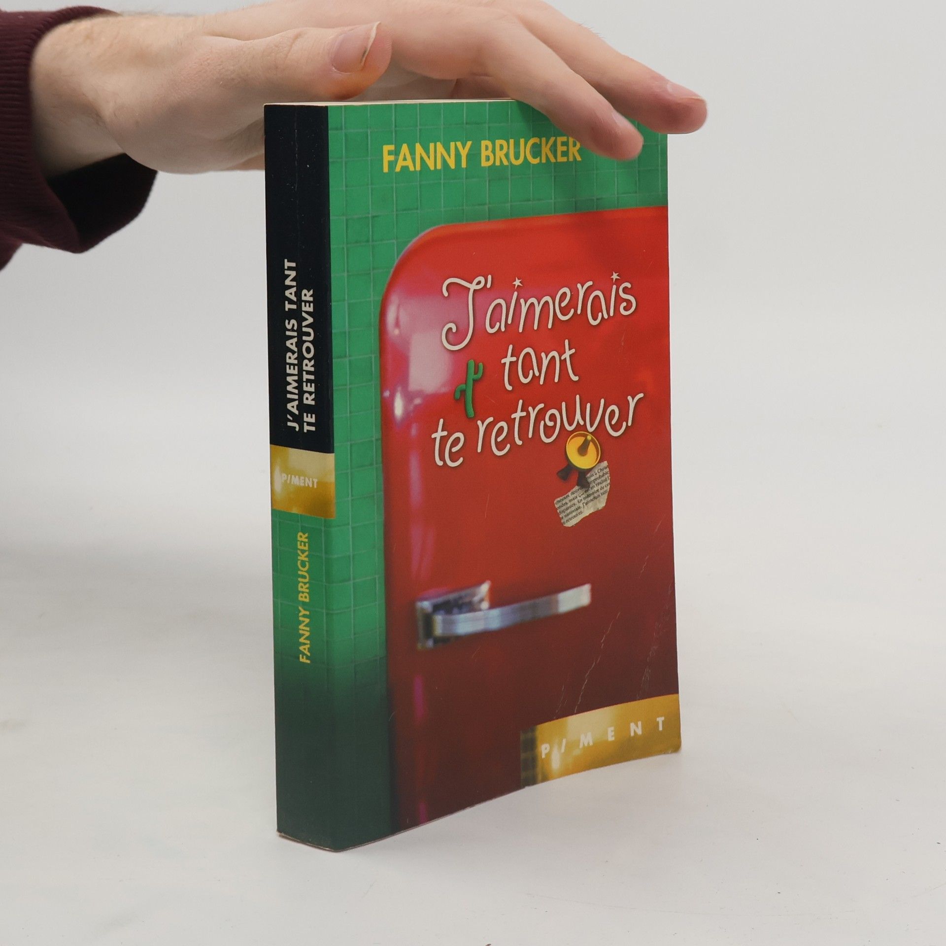 Fanny Brucker J'aimerais tant te retrouver