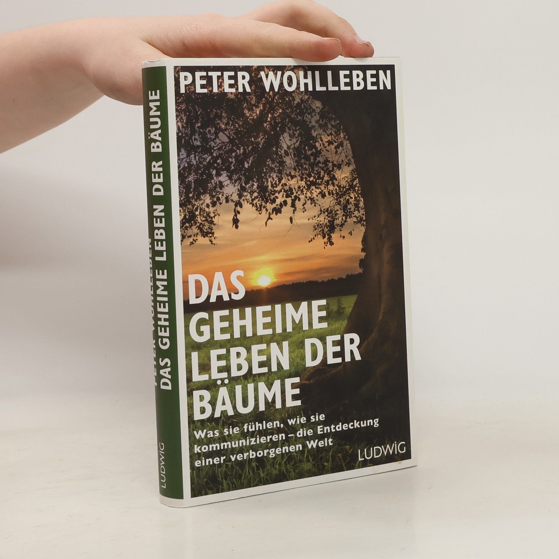 Peter Wohlleben Das geheime Leben der Bäume