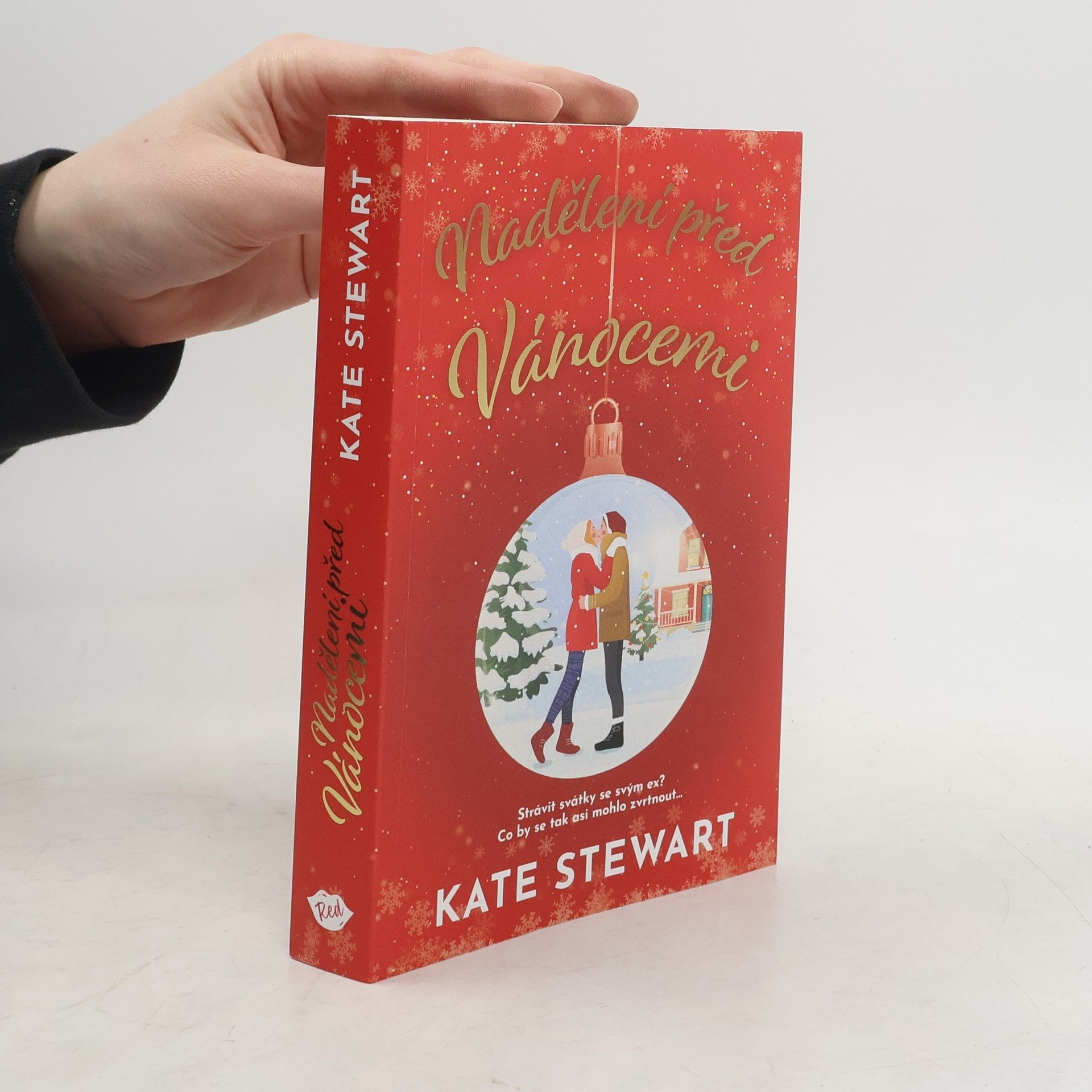 Kate Stewart Nadělení před Vánocemi