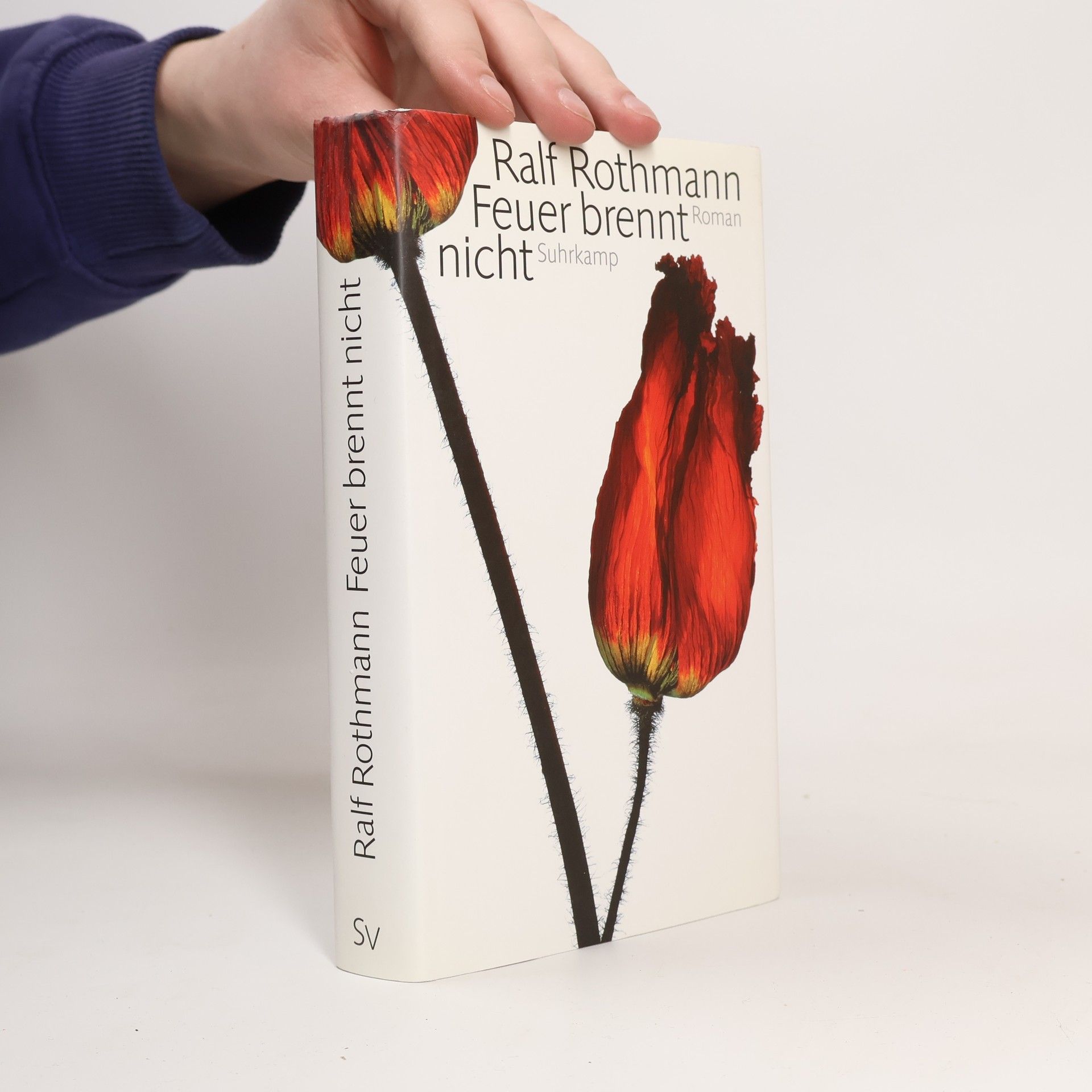 Ralf Rothmann Feuer brennt nicht