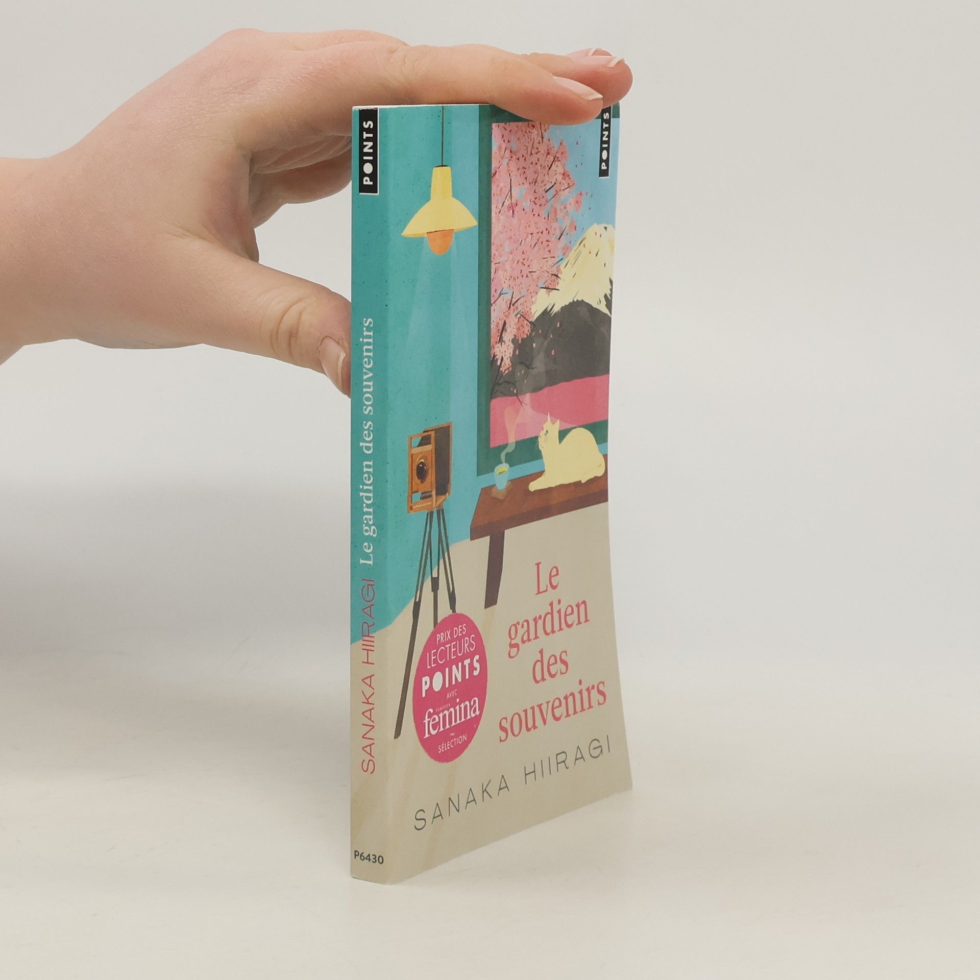 Jean-Baptiste Flamin Le Gardien des souvenirs