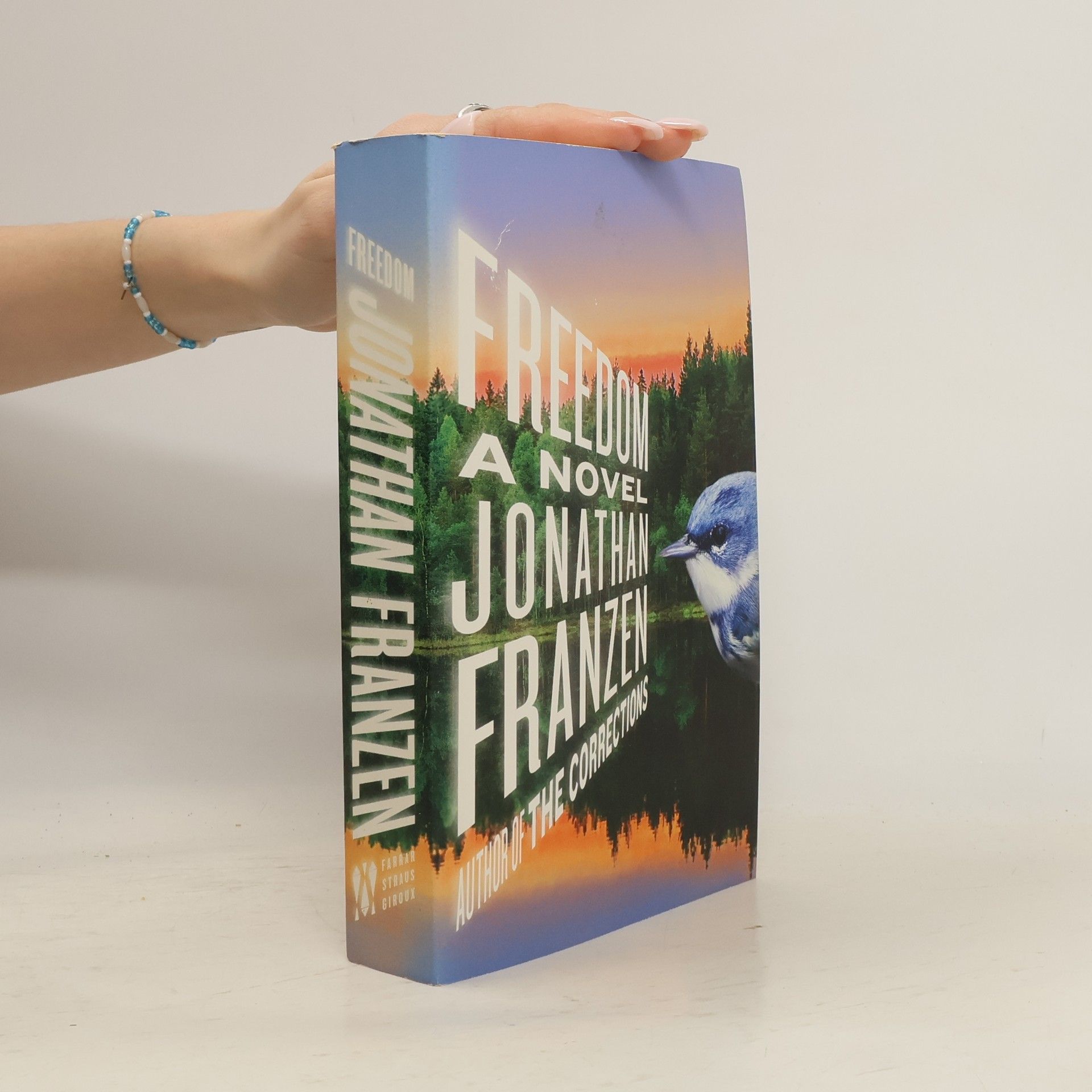 Jonathan Franzen Freedom