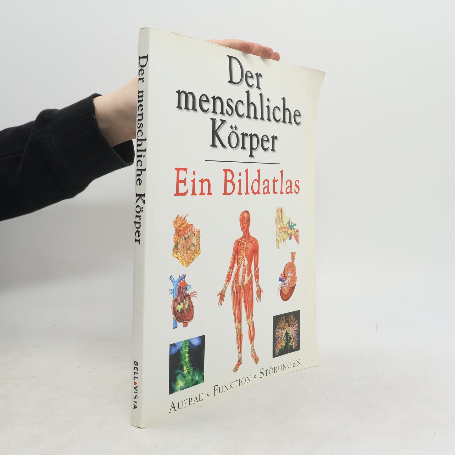 Various authors Der menschliche Körper