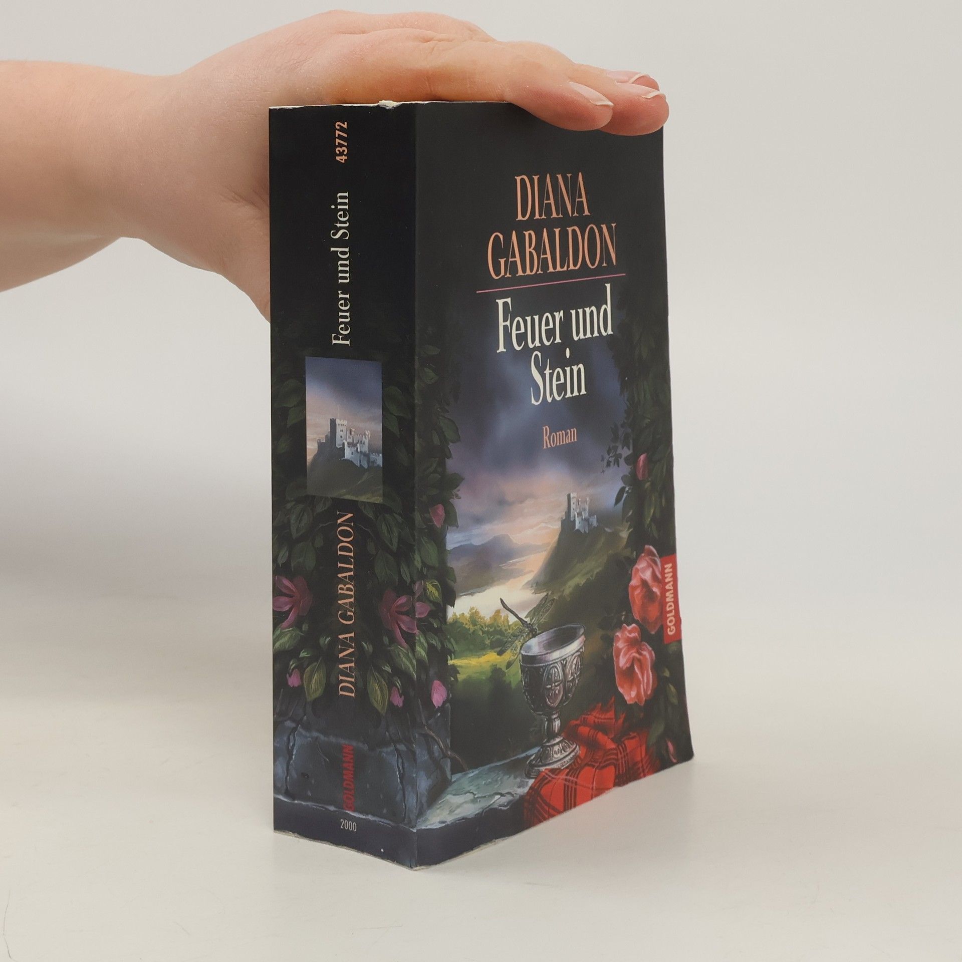 Diana Gabaldon Feuer und Stein
