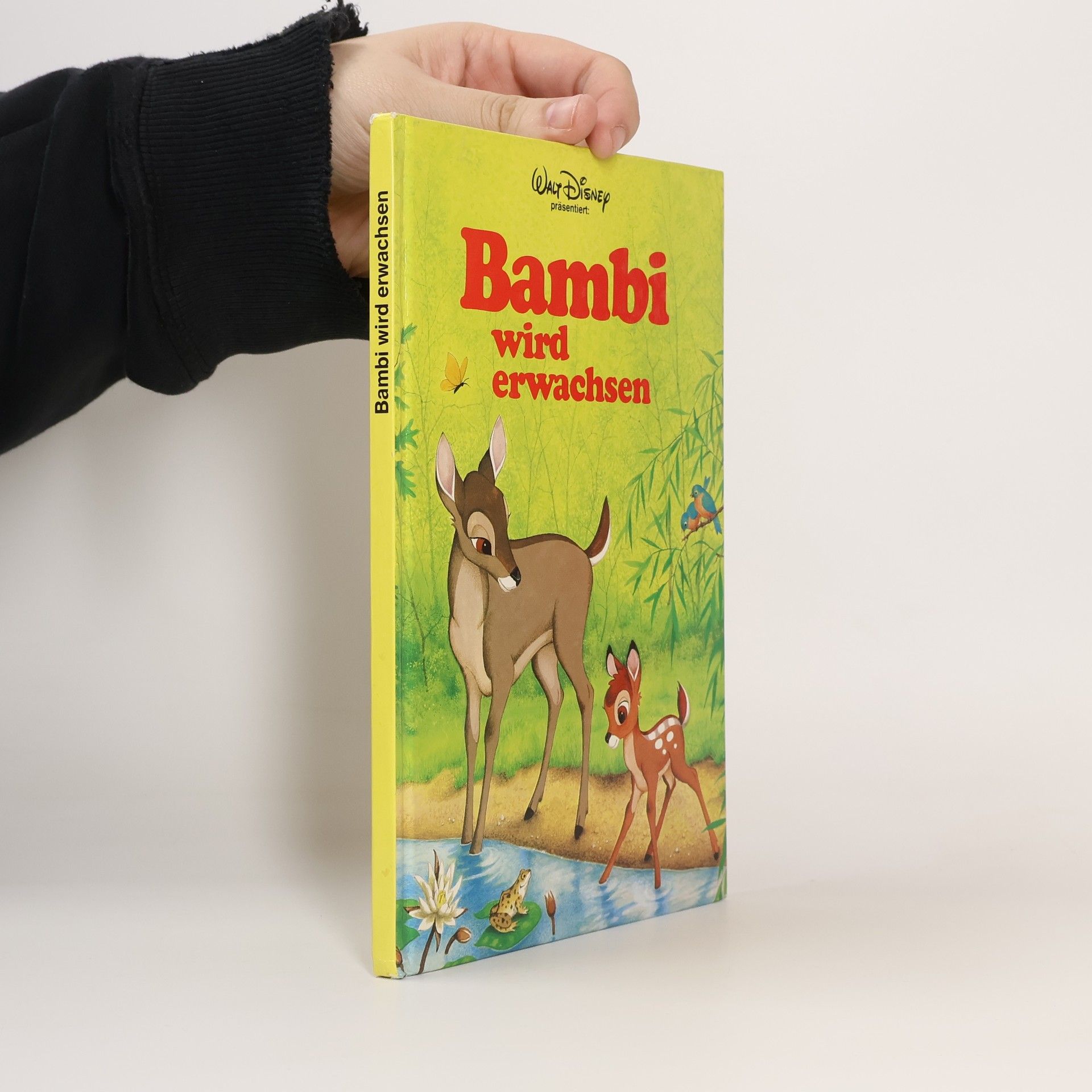 Collectif d'auteurs Bambi wird erwaschen