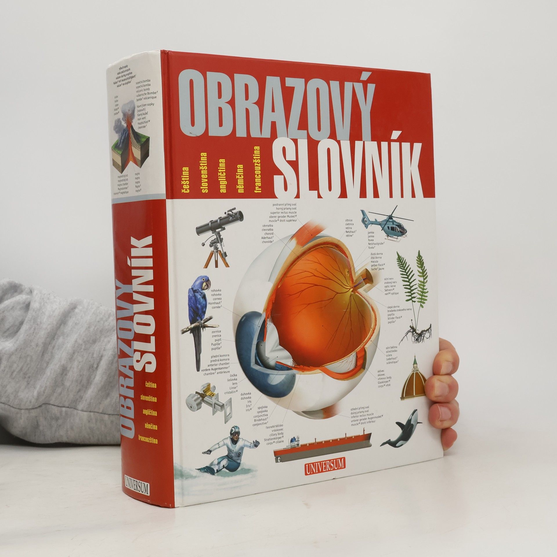 Ariane Archambault Obrazový slovník