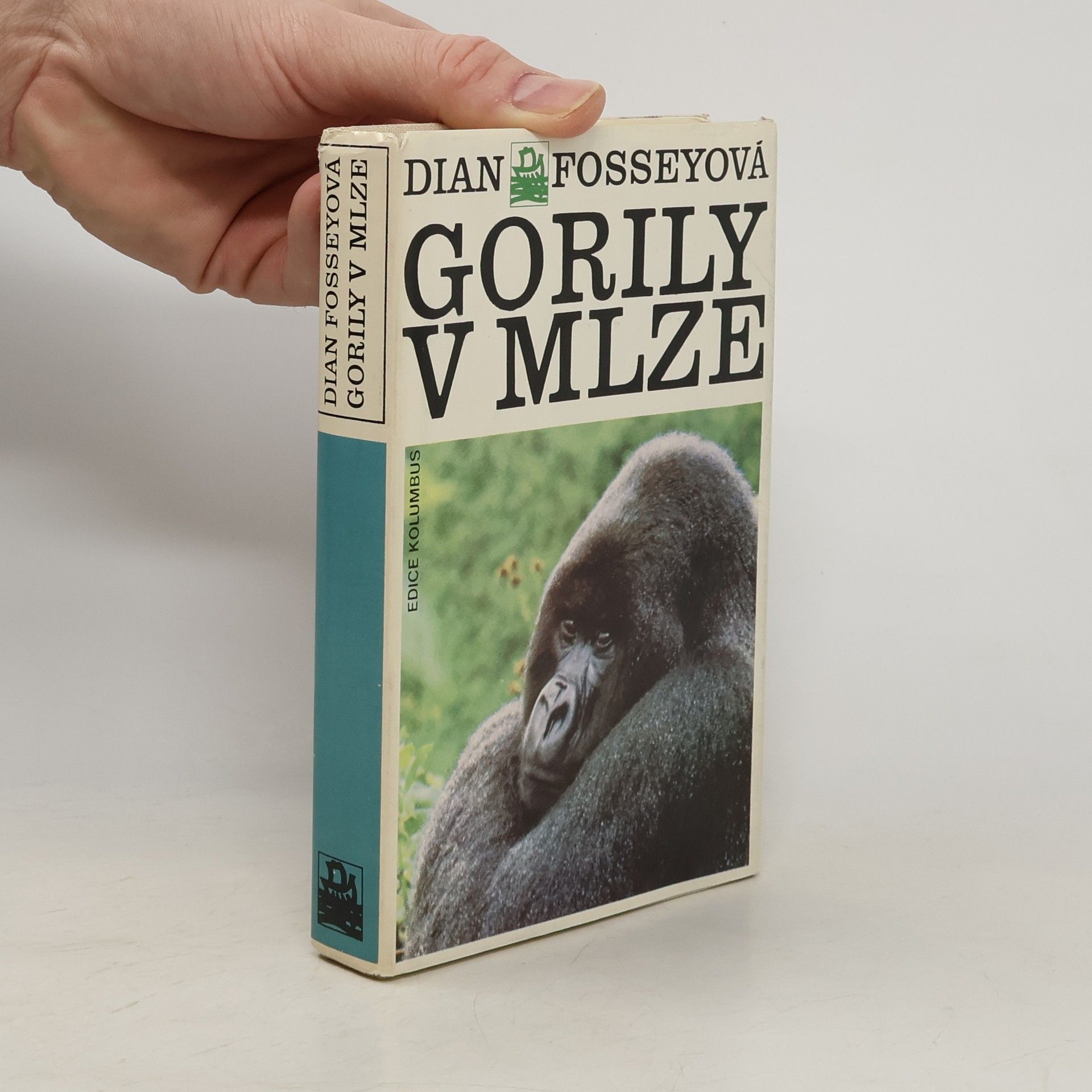 Dian Fossey Gorily v mlze