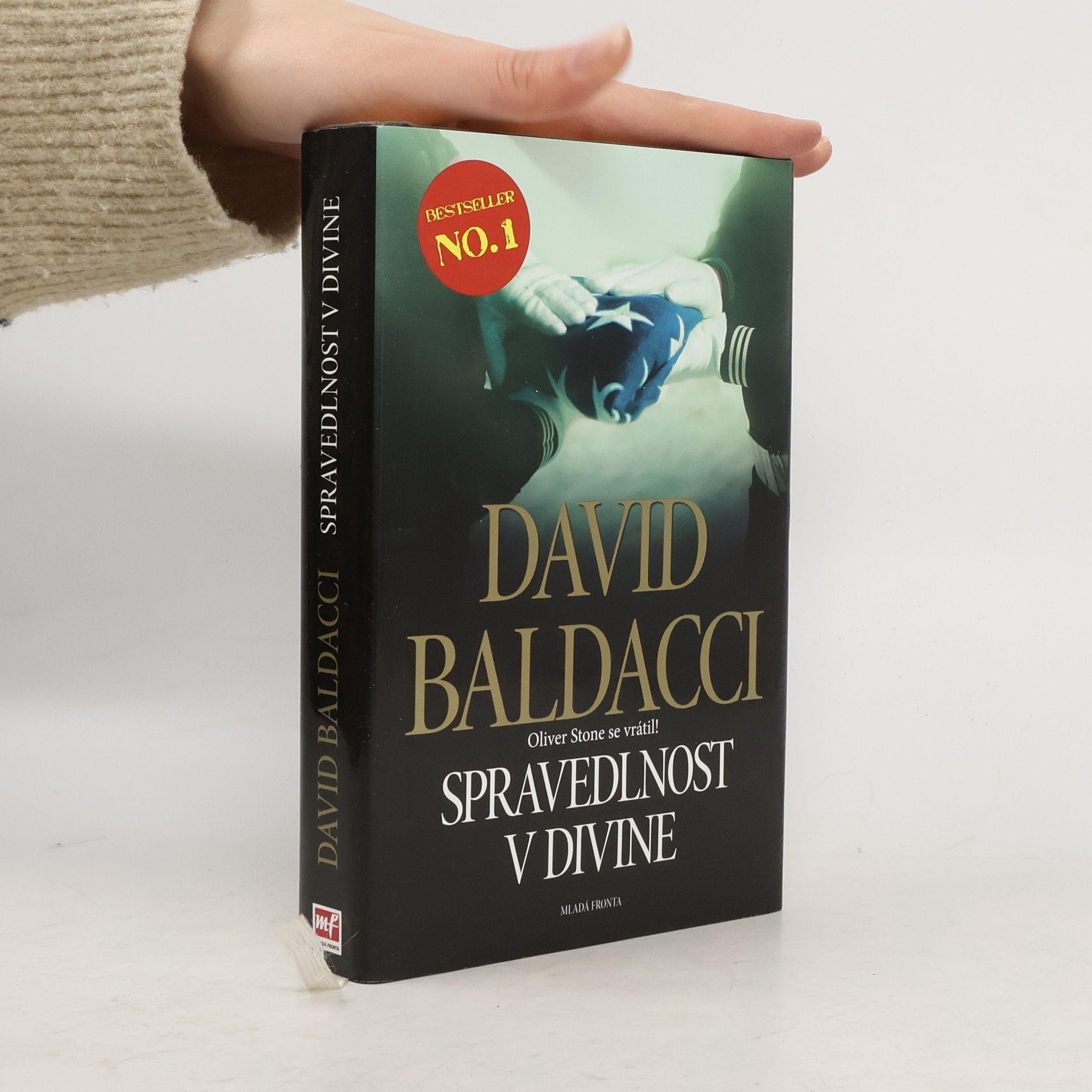 David Baldacci Spravedlnost v Divine